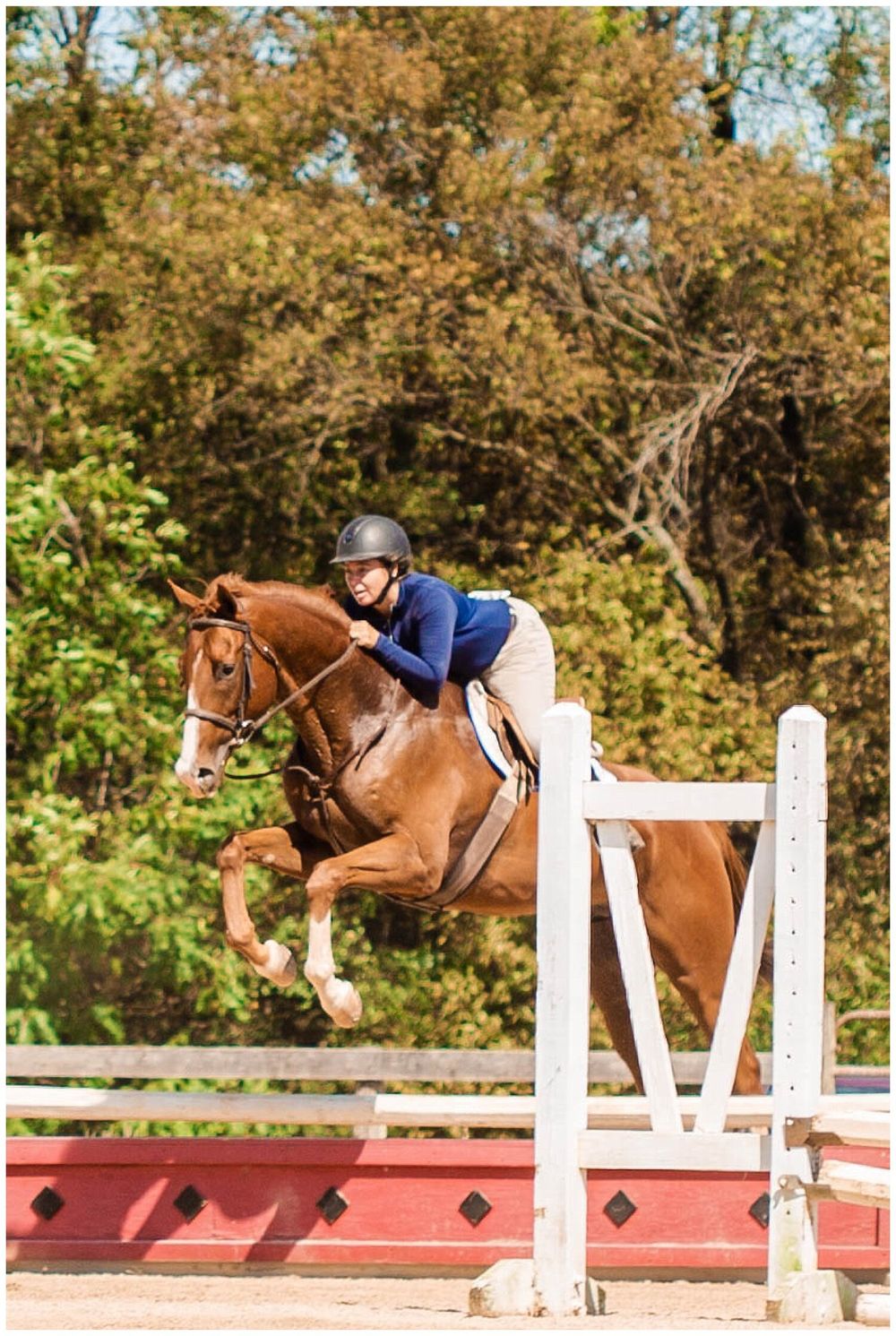 Versailles Kentucky Ground and Jumping Horse Show at Ballyhigh Stables Rebecca Beatty Equine