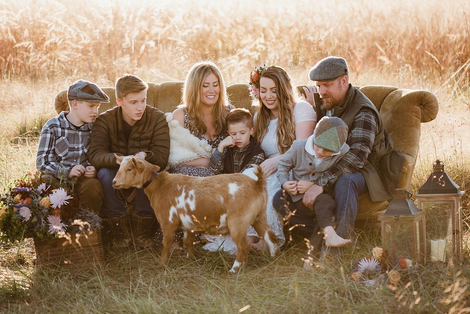 A group sits together with their dogs on a cozy blanket in a golden field at sunset.