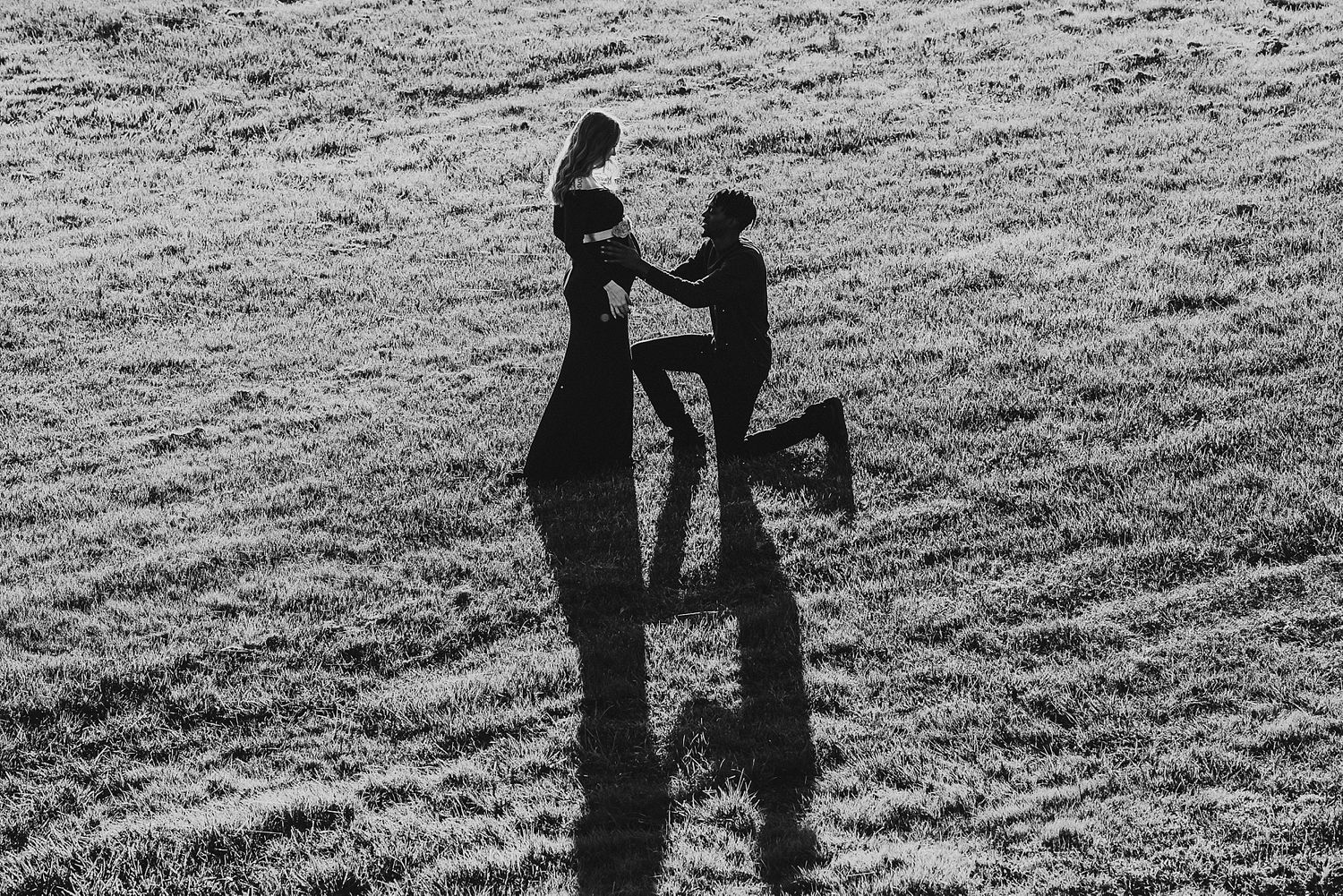 Two silhouettes cast dramatic shadows on a grassy hill during a marriage proposal moment.