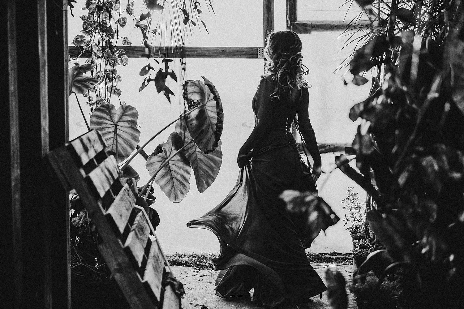 Black and white photo of music sheets arranged near a window with plants creating artistic shadows.
