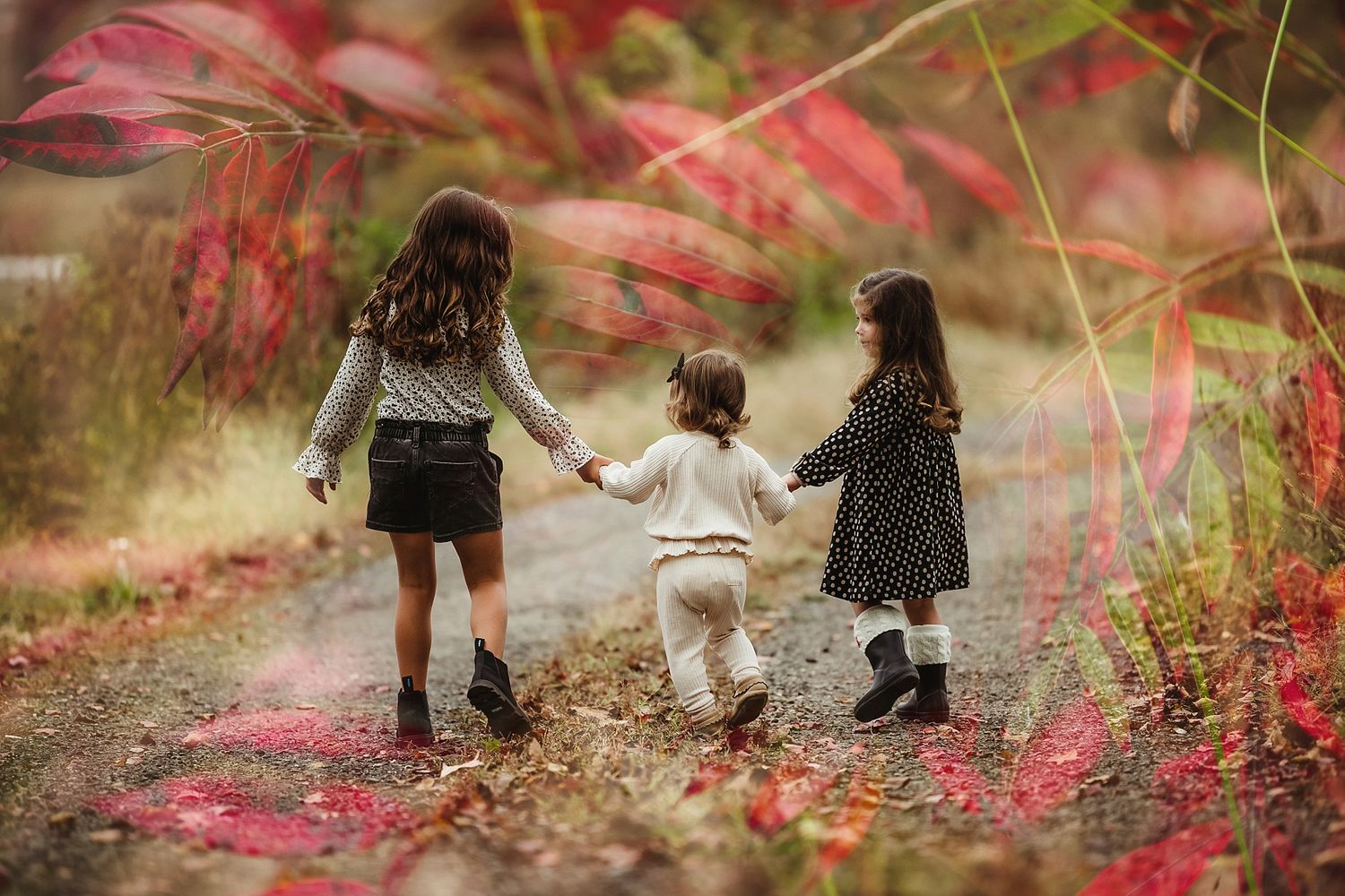 Three people walking hand in hand through pink flowering bushes.