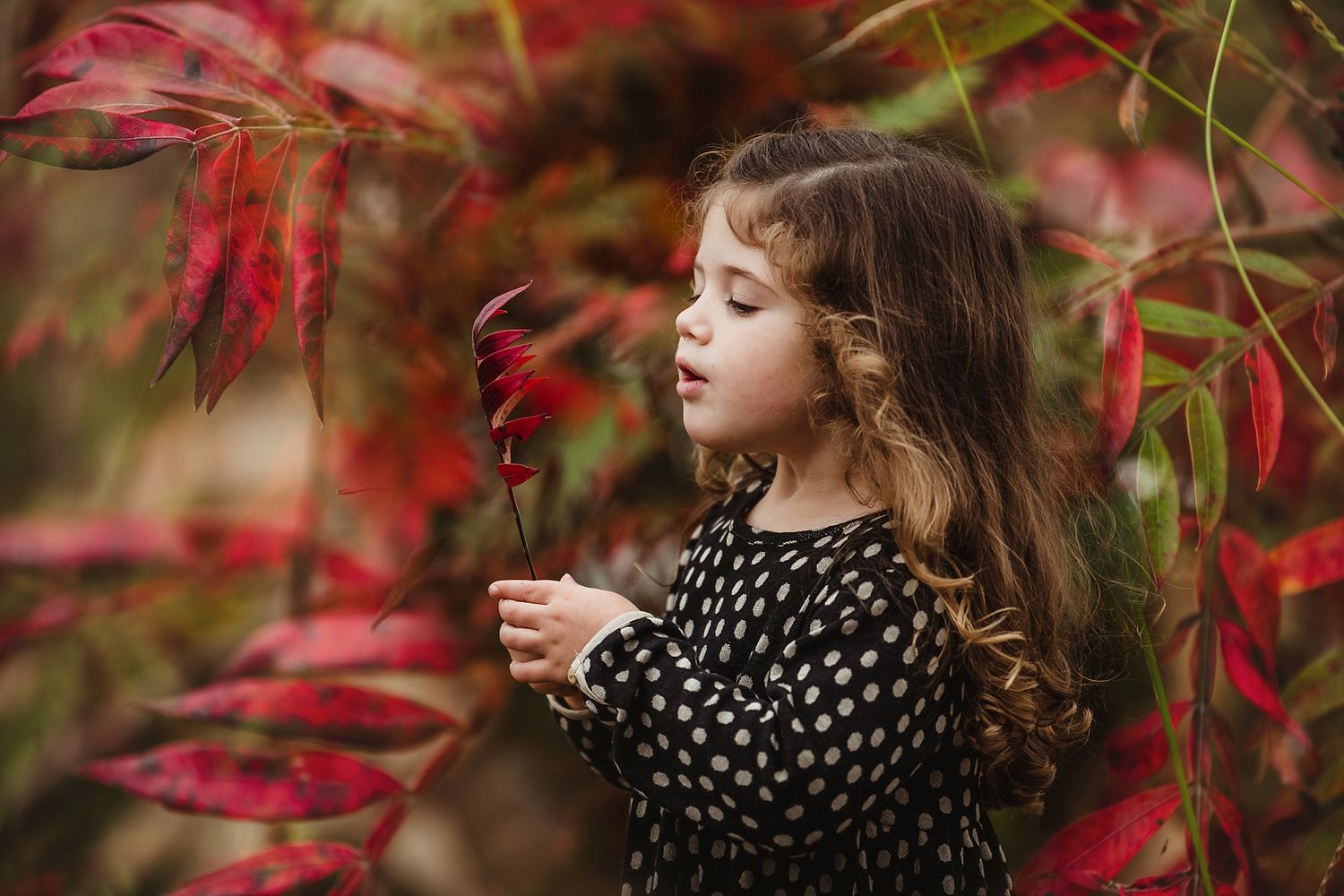 Child in polka dot dress standing among vibrant red autumn leaves and foliage.