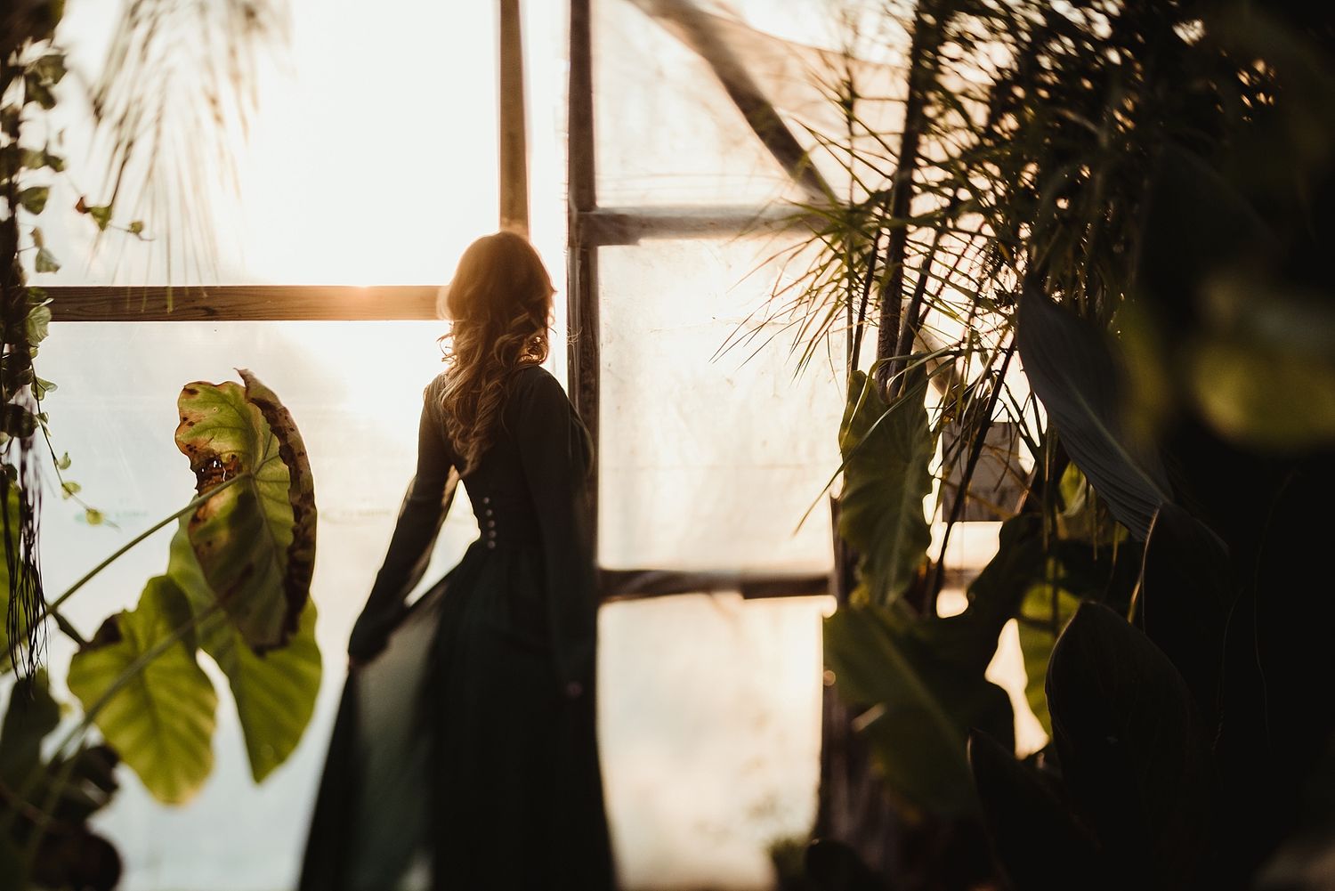 Silhouette of figure against window with tropical plants and sunset light streaming through.