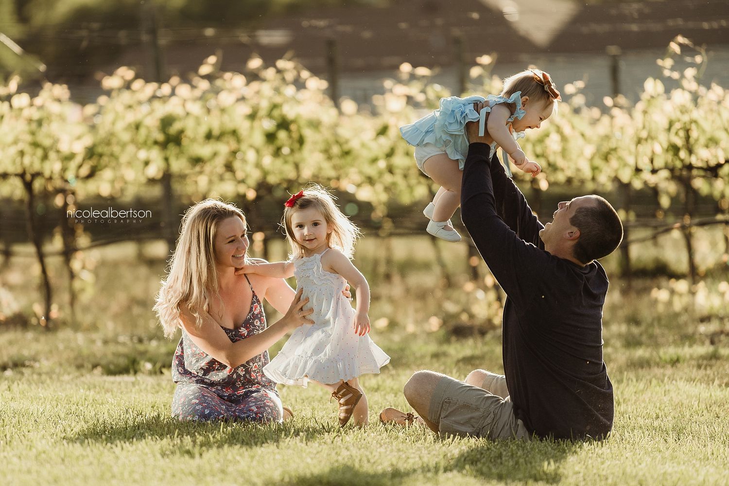 Family playing together in sunny vineyard during golden hour.