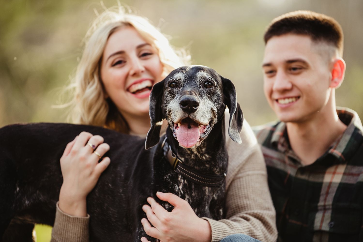 A happy black dog smiles while being held and loved by its companions outdoors.