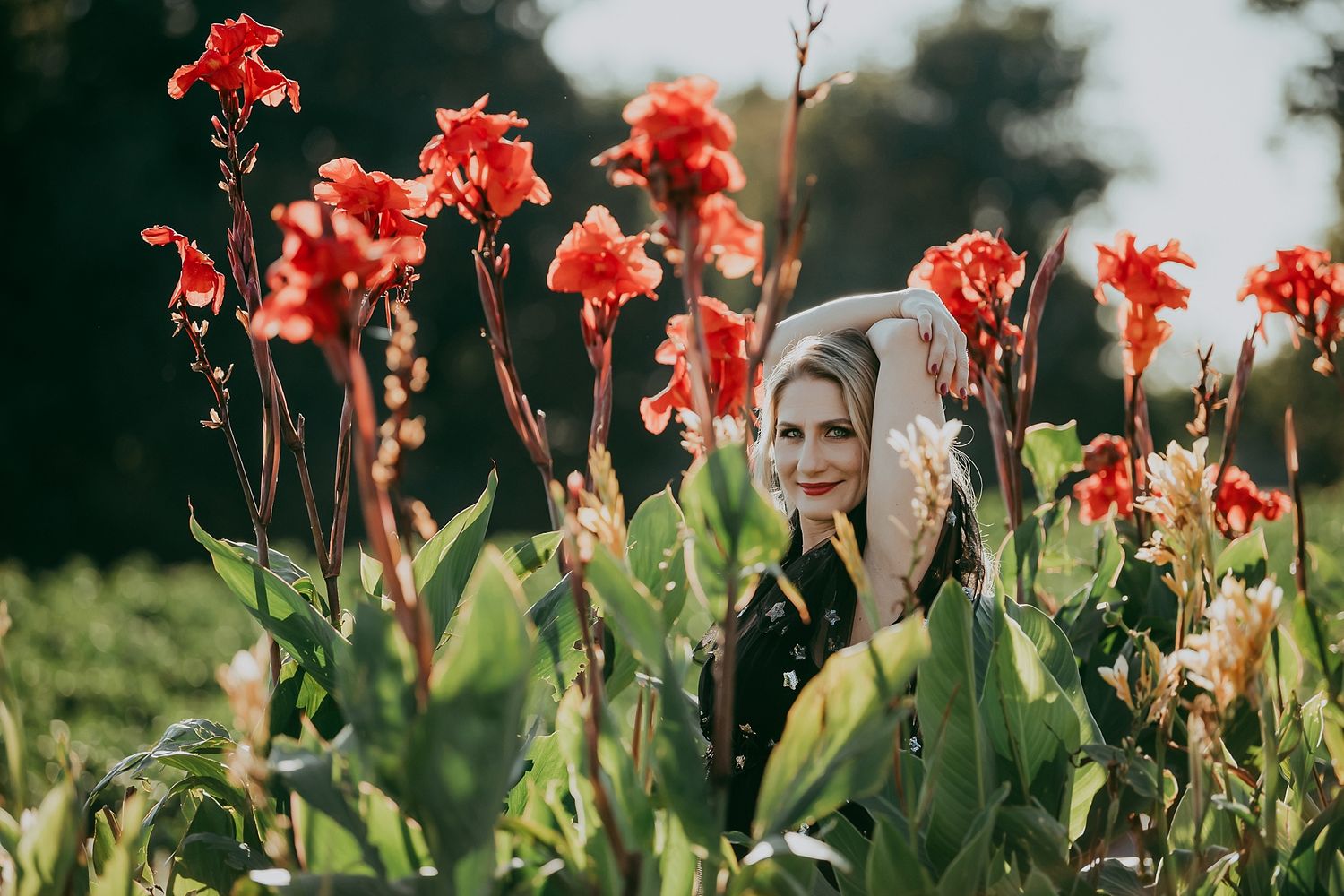 Red canna lilies bloom tall in garden with person peeking through stems.