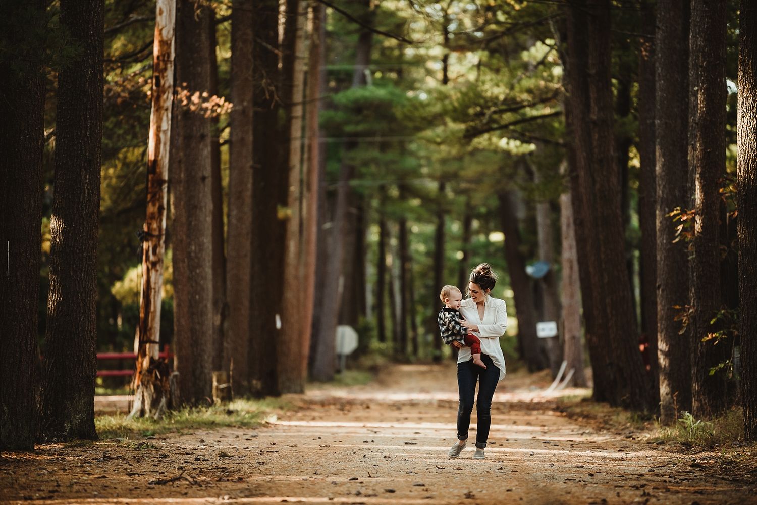 Figure stands on forest path surrounded by tall evergreen trees.