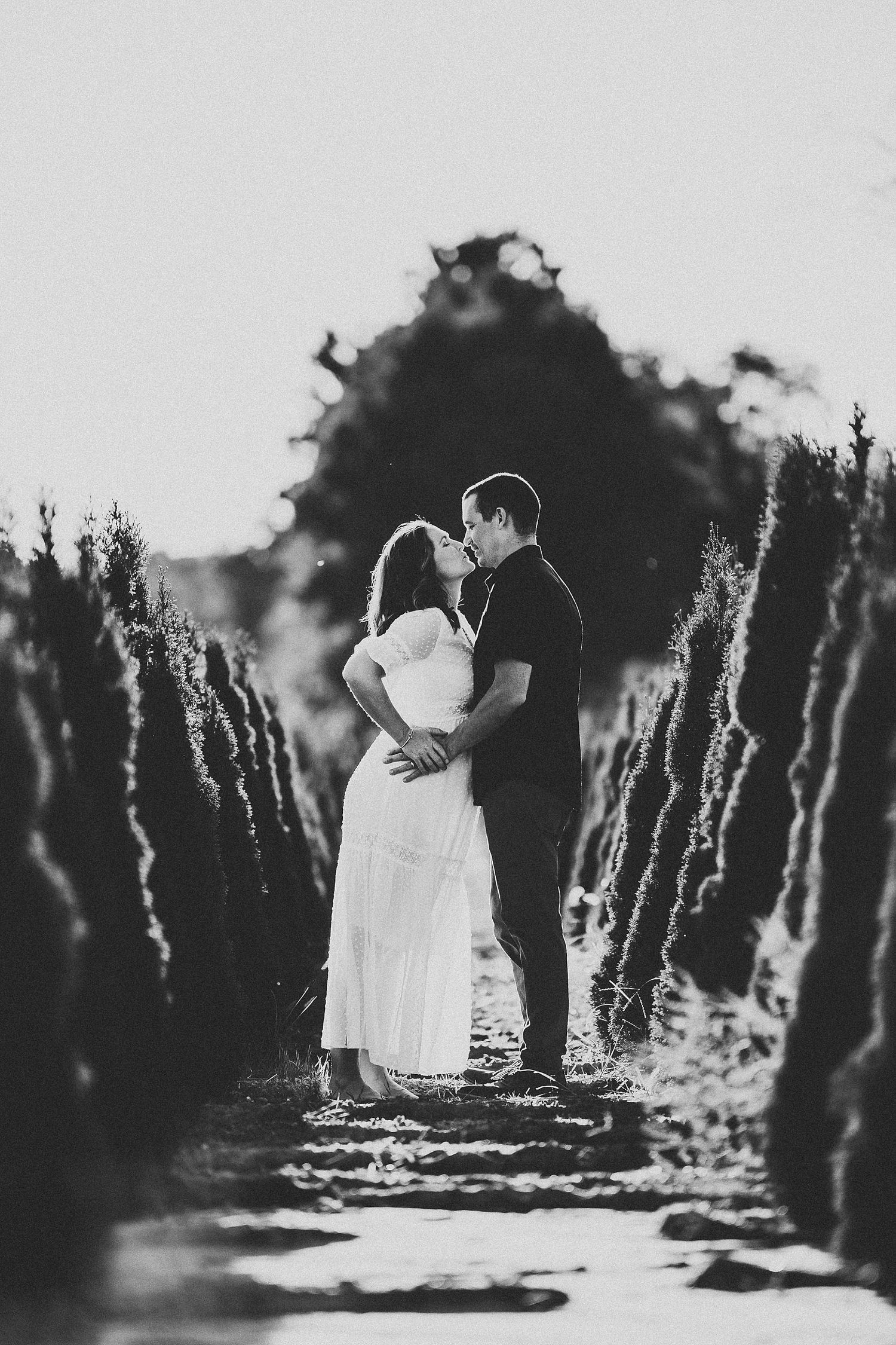 Romantic black and white portrait of a couple embracing in a garden path framed by hedges.