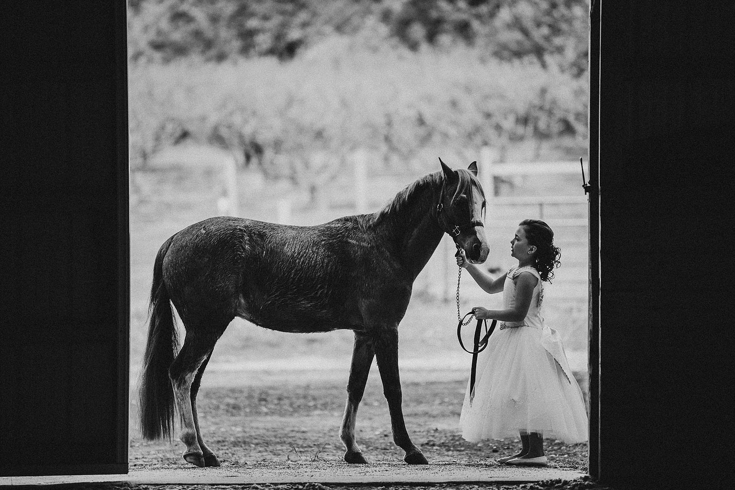 A black and white image of a young child in a dress petting a horse.