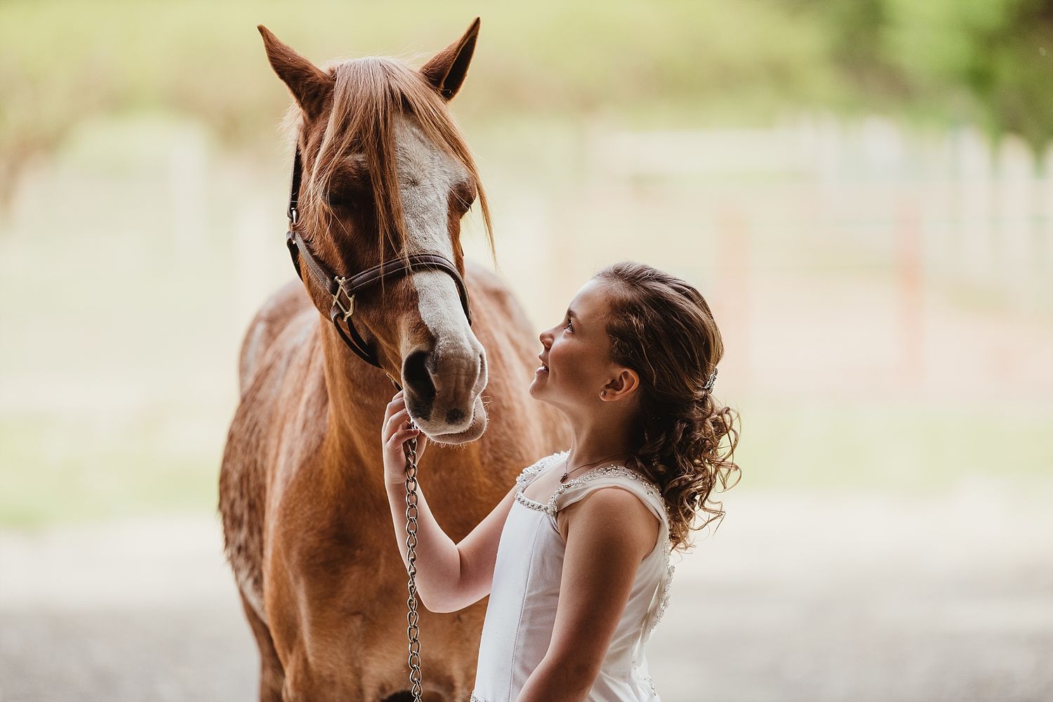 A close-up shot of someone bonding with a brown horse outdoors.