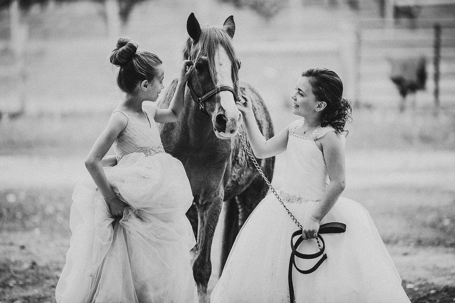 Two women in elegant white dresses pose with a dark horse in a vintage black and white photo.