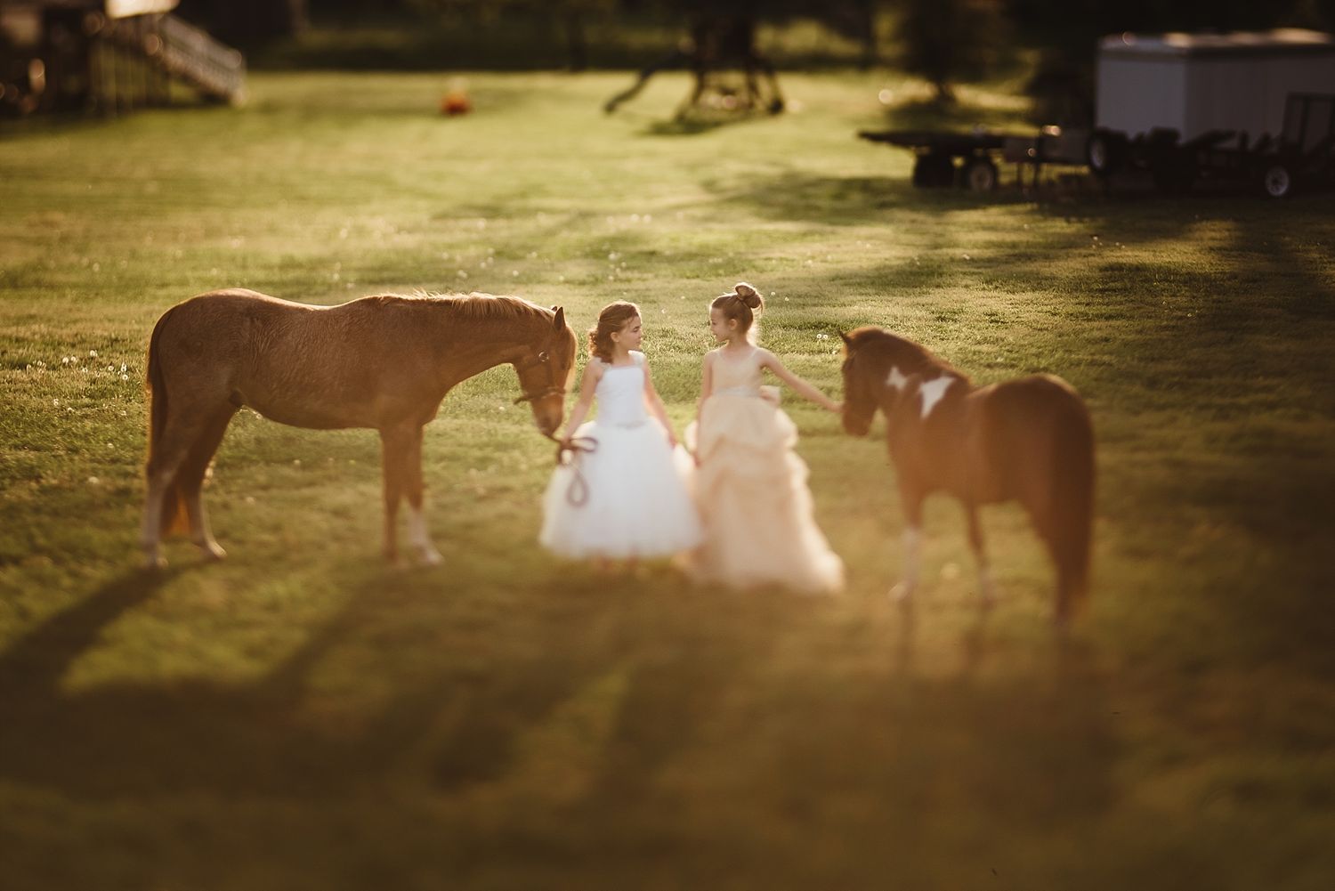 Two figures in white dresses stand between horses in a dreamy sunset meadow setting.