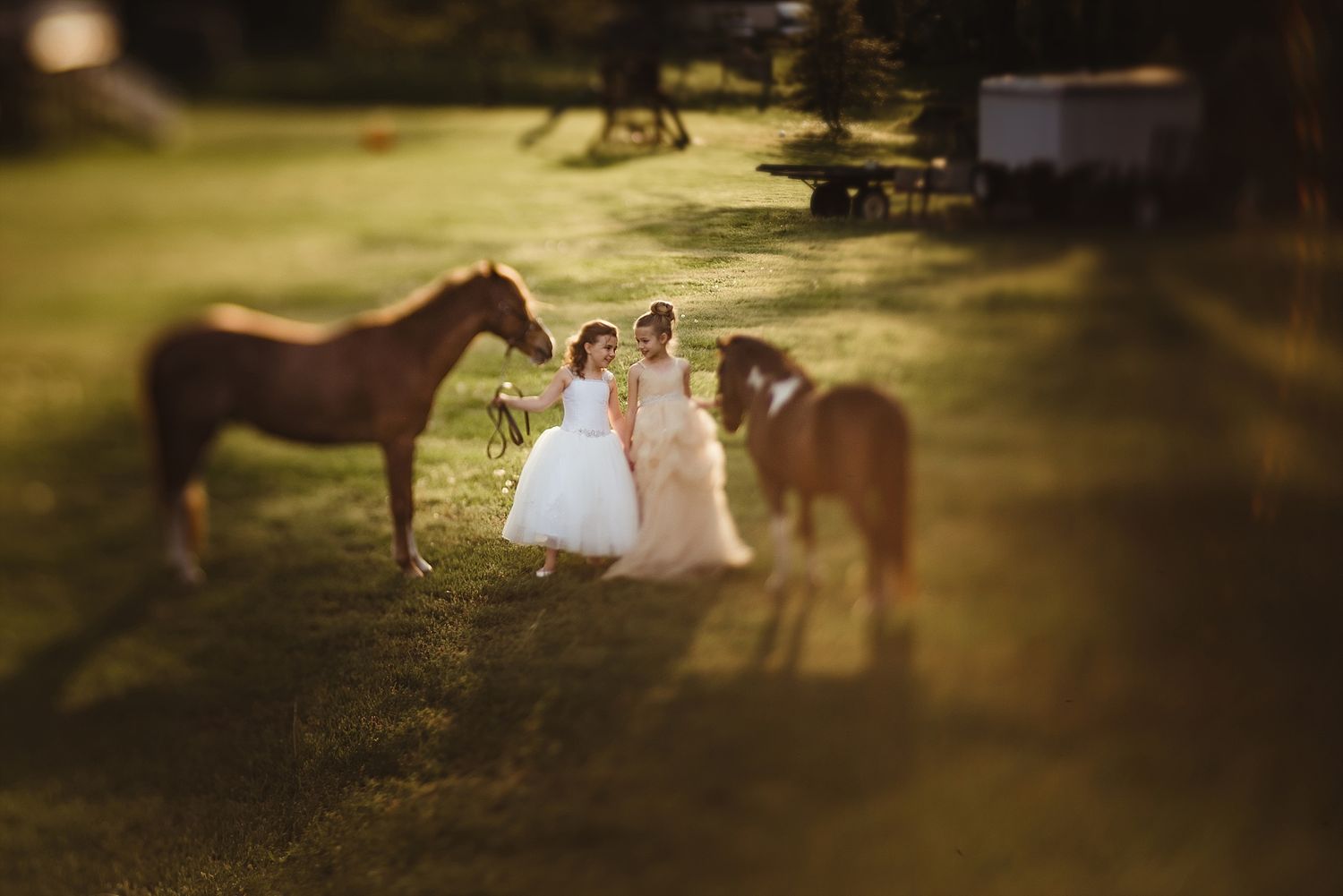 White-gowned couple stands between horses in dreamy sunset field setting.