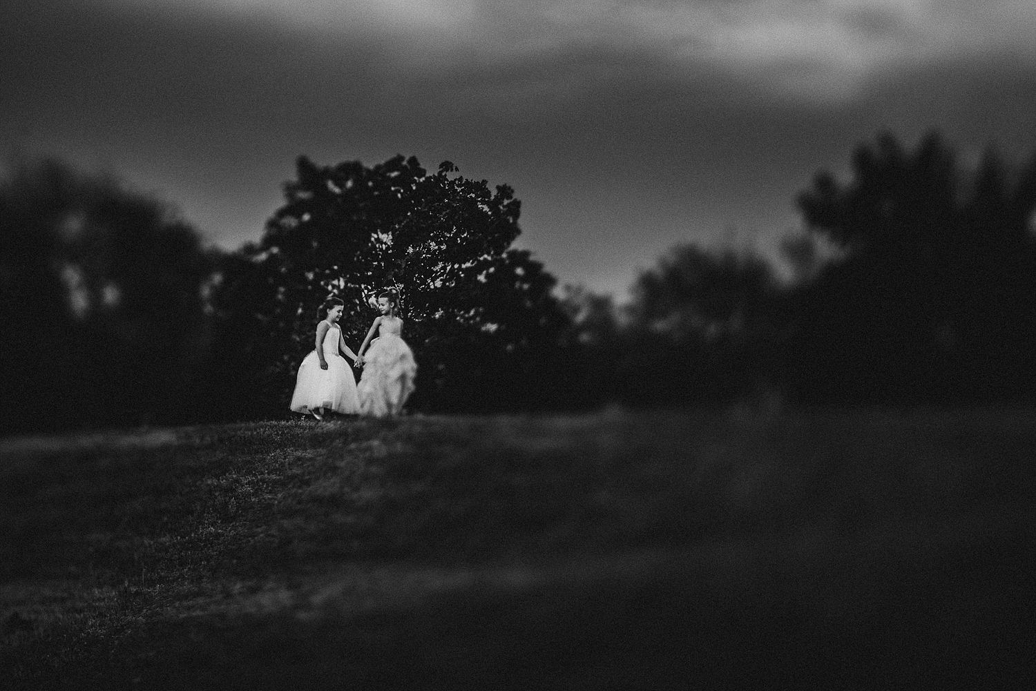 Couple in wedding attire stand on hilltop in dramatic black and white photograph.
