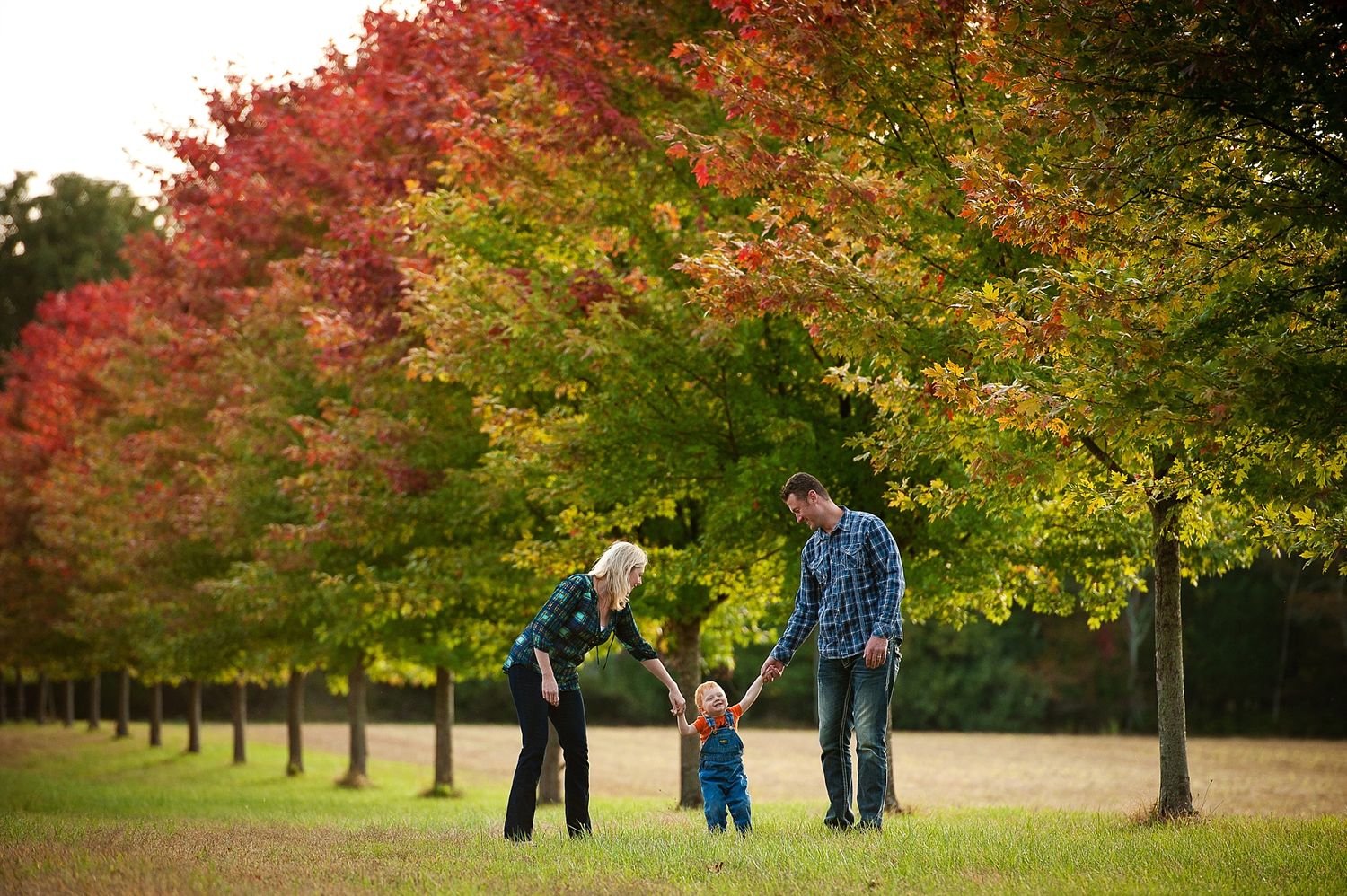 Family walking together under vibrant autumn trees with red and yellow foliage in a park setting.