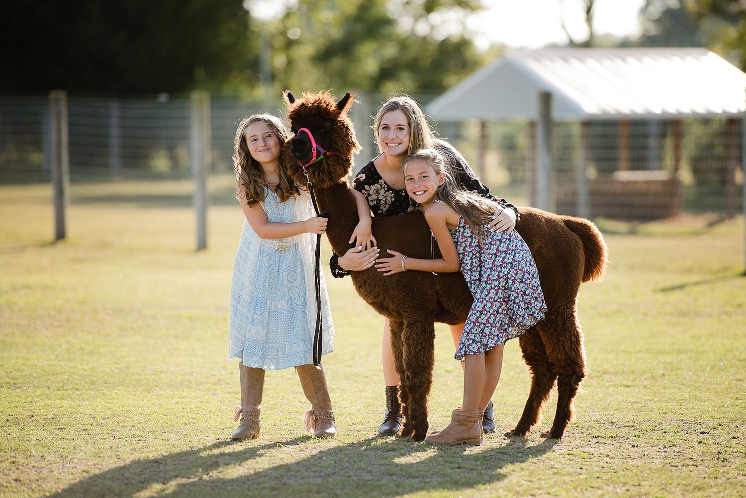 Women in sundresses petting and interacting with brown pony in sunny field.