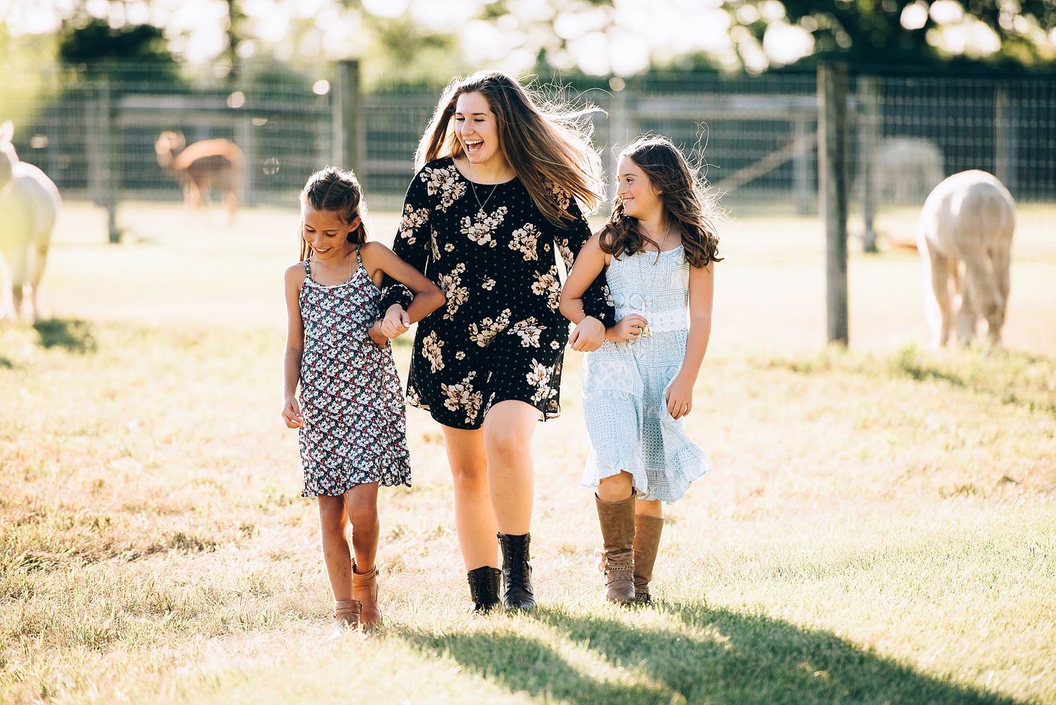 Three people walking together through a sunny field with horses in the background.
