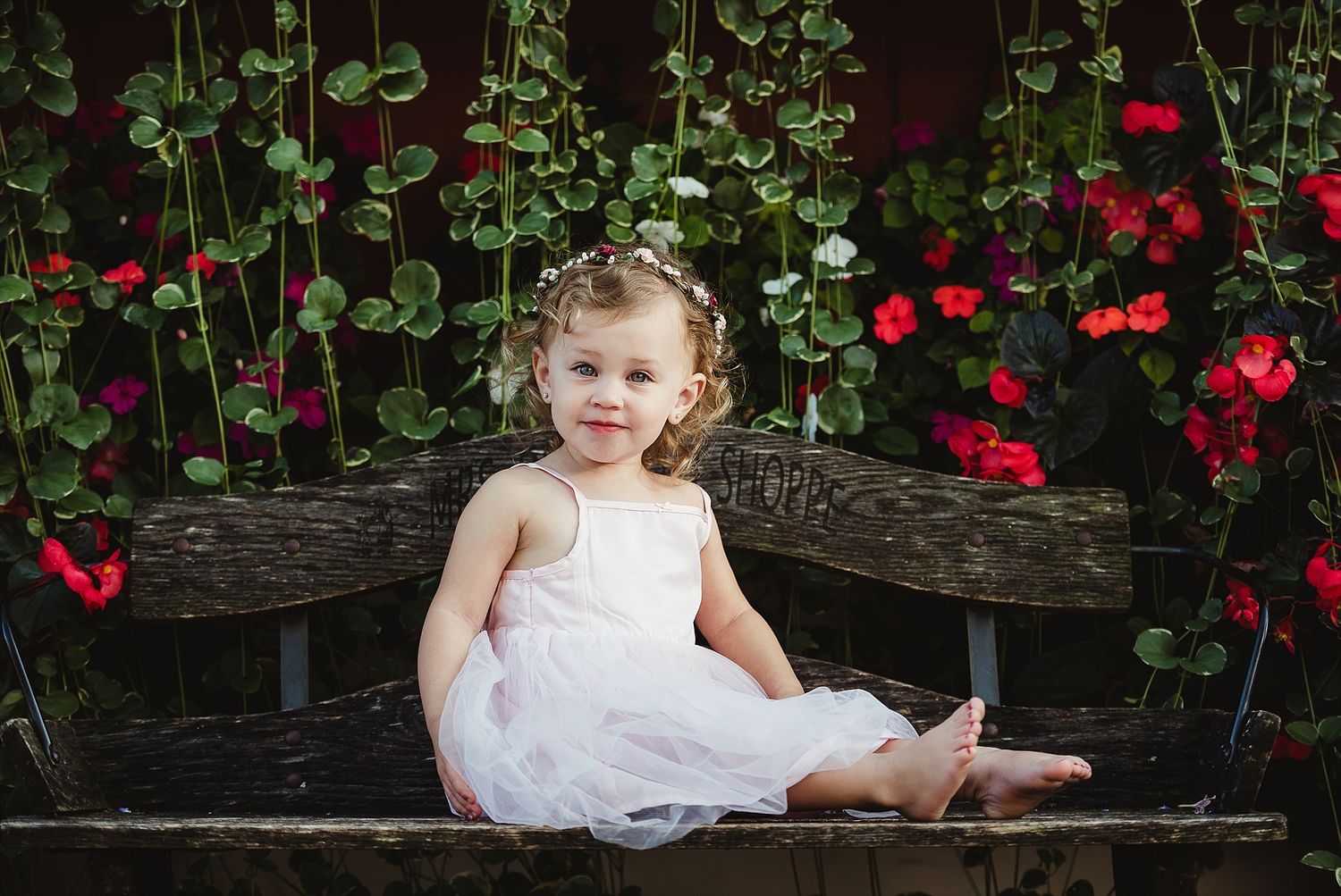 A child in a white dress sits on a wooden bench surrounded by vibrant red climbing flowers.