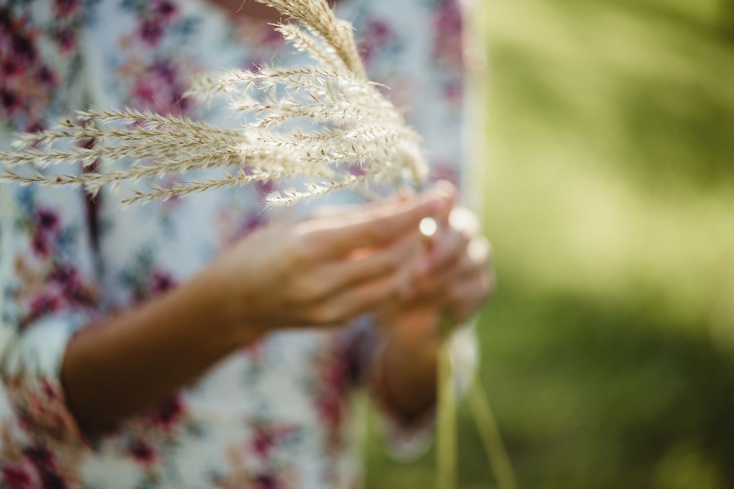 Close-up of hands holding delicate white pampas grass against a soft blurred background.