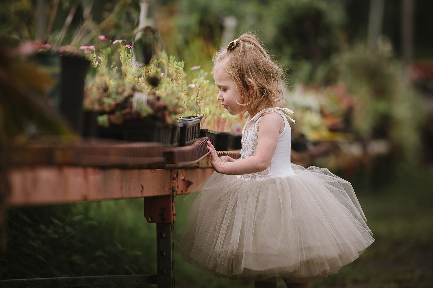 A whimsical scene of someone in a tulle dress exploring a rustic garden setting.