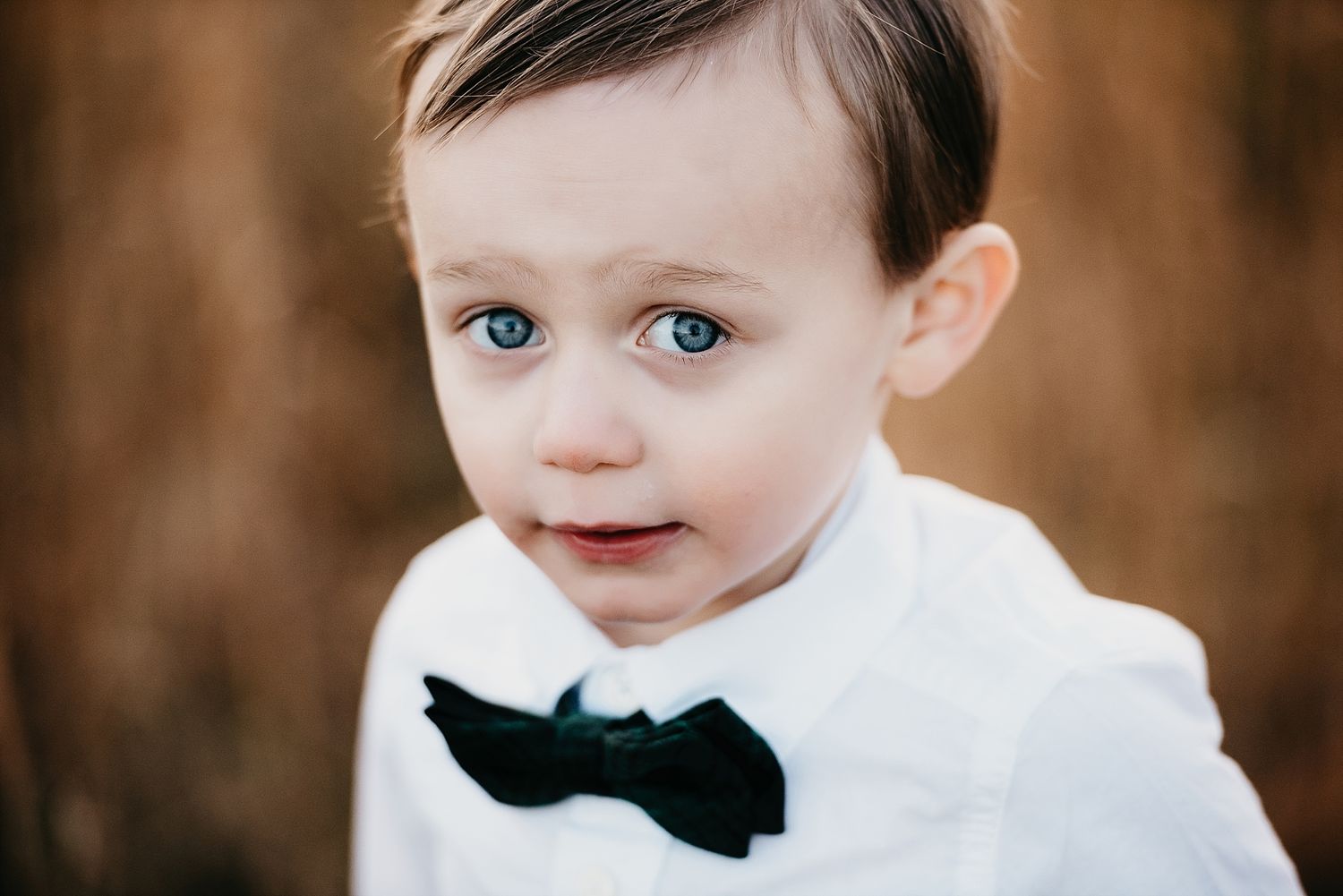 A close-up portrait showing bright blue eyes and a black bowtie against a brown background.