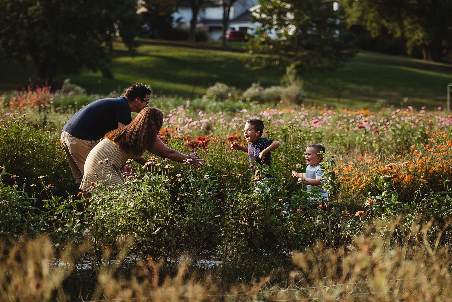 Adult and children exploring among colorful wildflowers in garden.