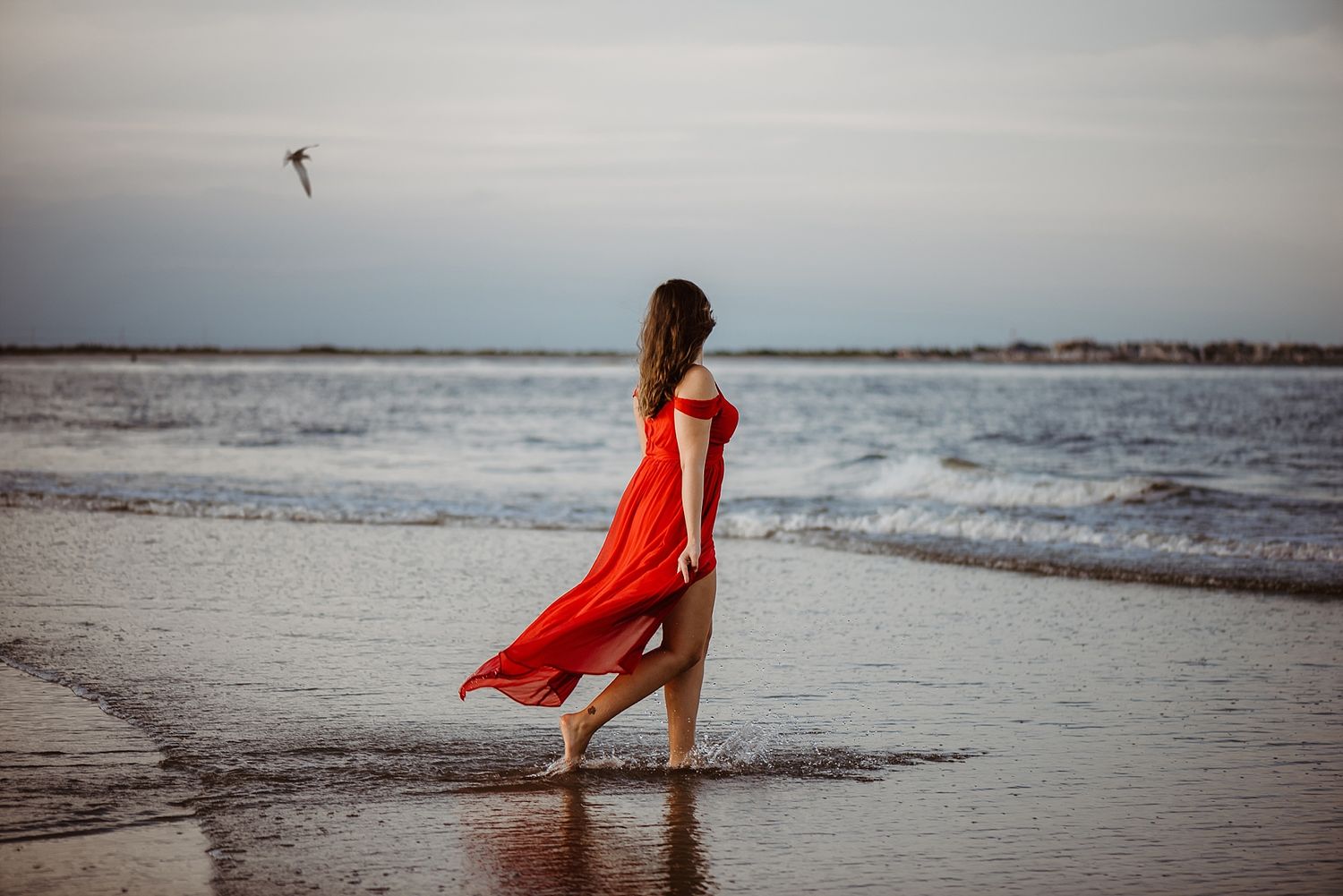 A flowing red dress catches the sea breeze as someone walks along a beach at sunset with a seabird in the sky.