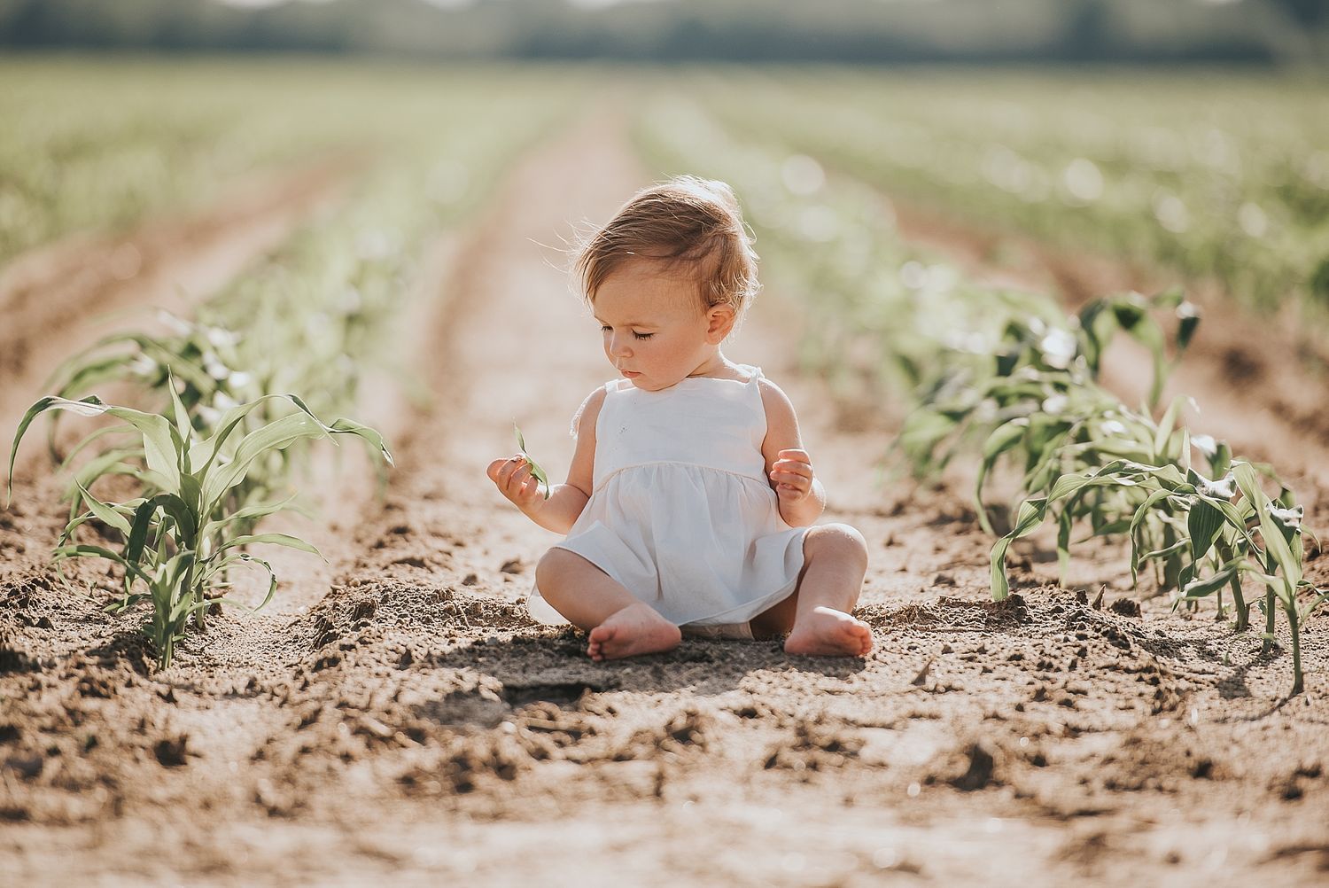 Baby in white outfit sits on dirt path between young crop rows in a field.
