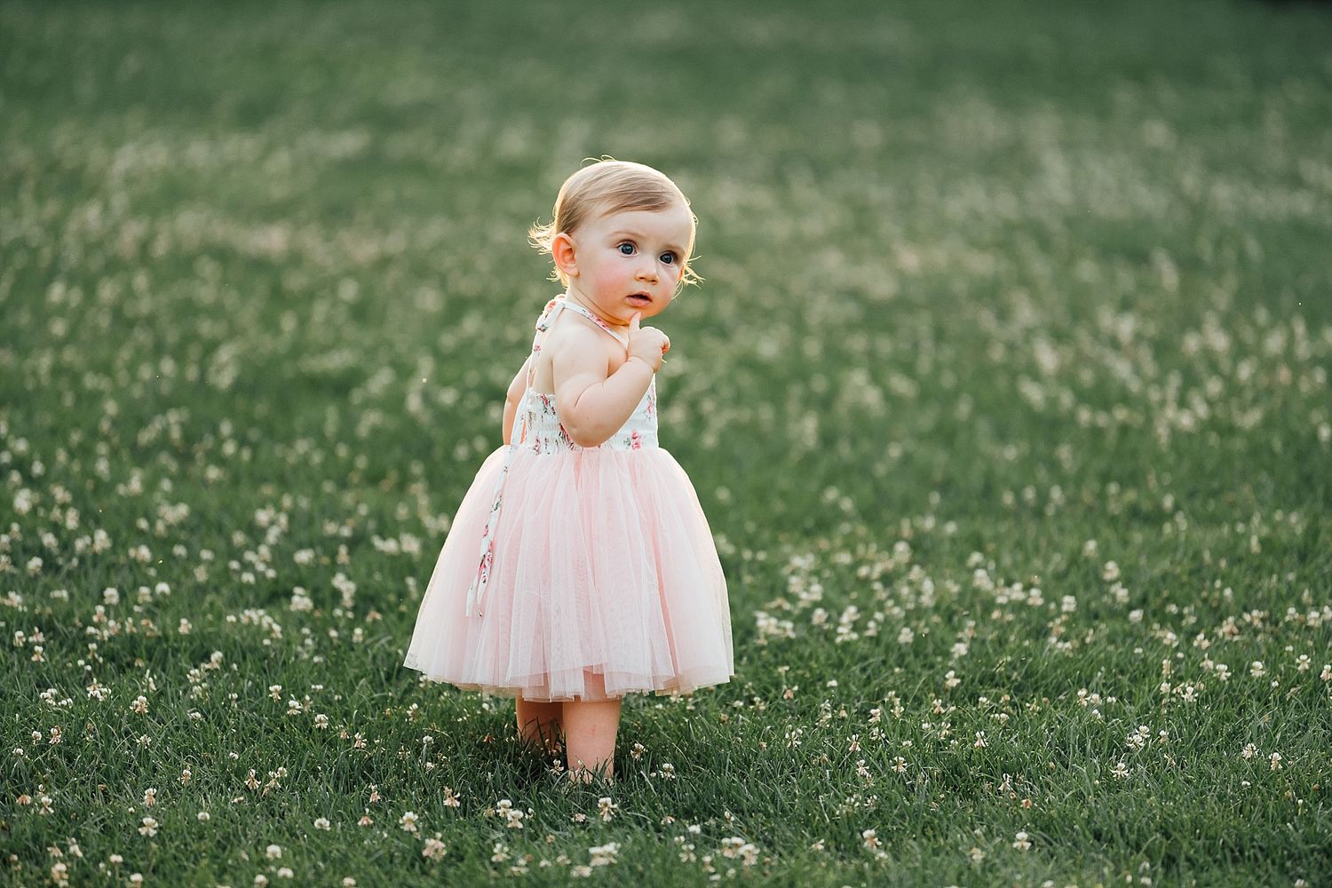 Small child in pink tulle dress standing in grassy field during golden hour.