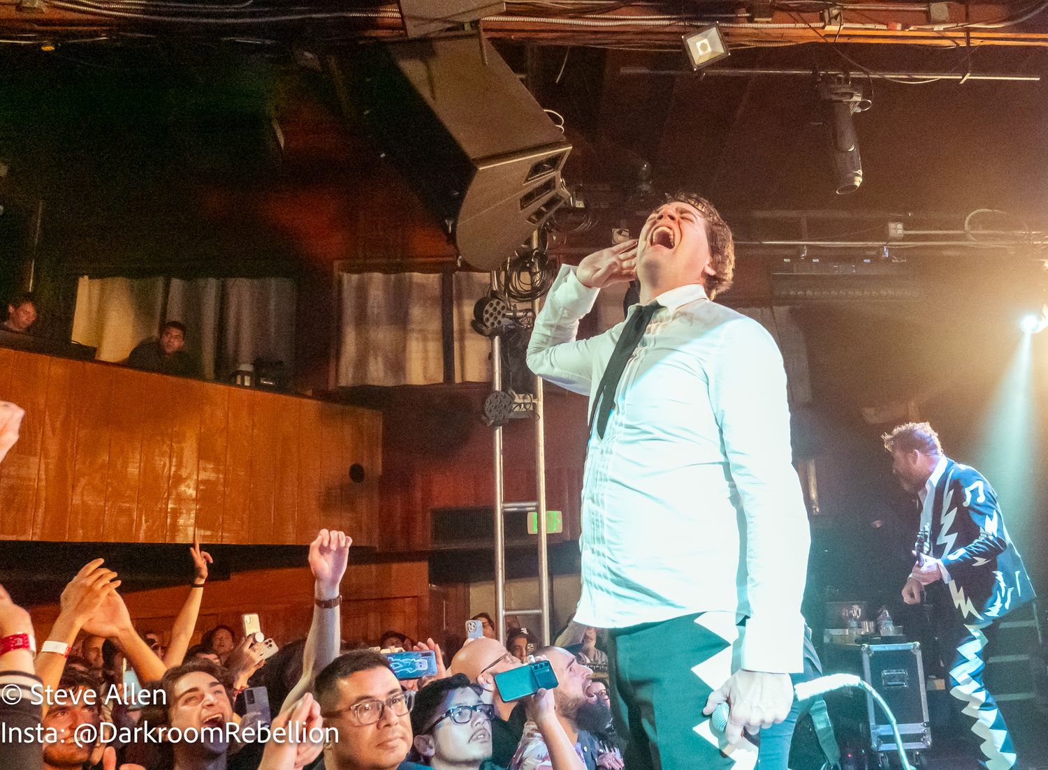 Pelle Almqvist - The Hives - Troubadour Los Angeles