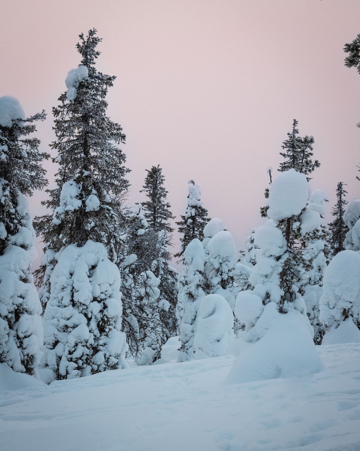 Kuusamo en Finlande, blog voyage et photos par Julie Fox Photography - Laponie