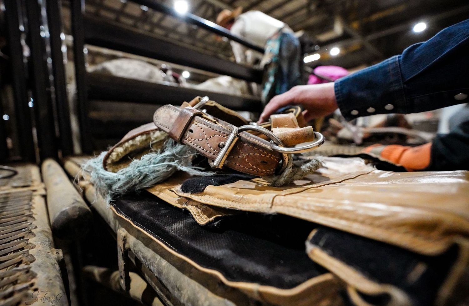 Alberta Rodeo Photographer