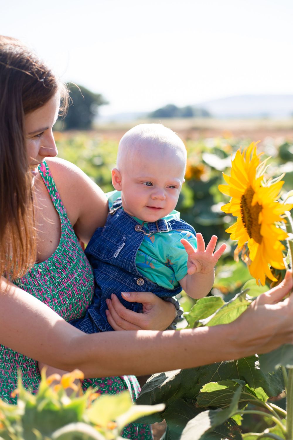 A sunflower photoshoot in lewes where a mother shows her baby son the sunflower