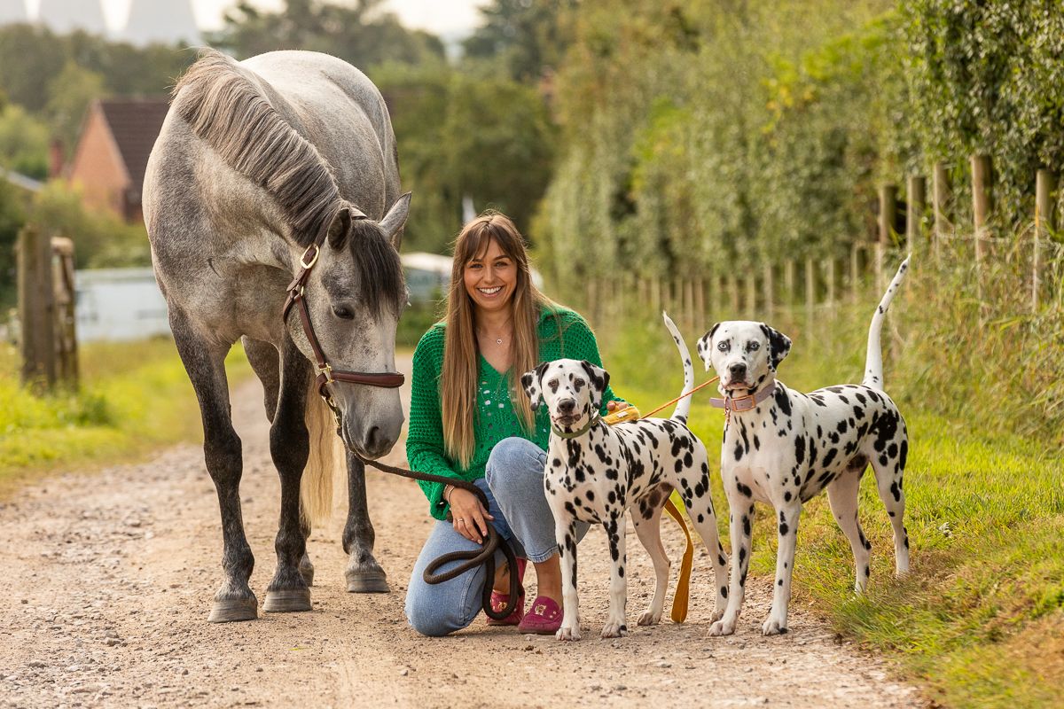 A grey horse and two Dalmatians pause on a rural path with their companion.
