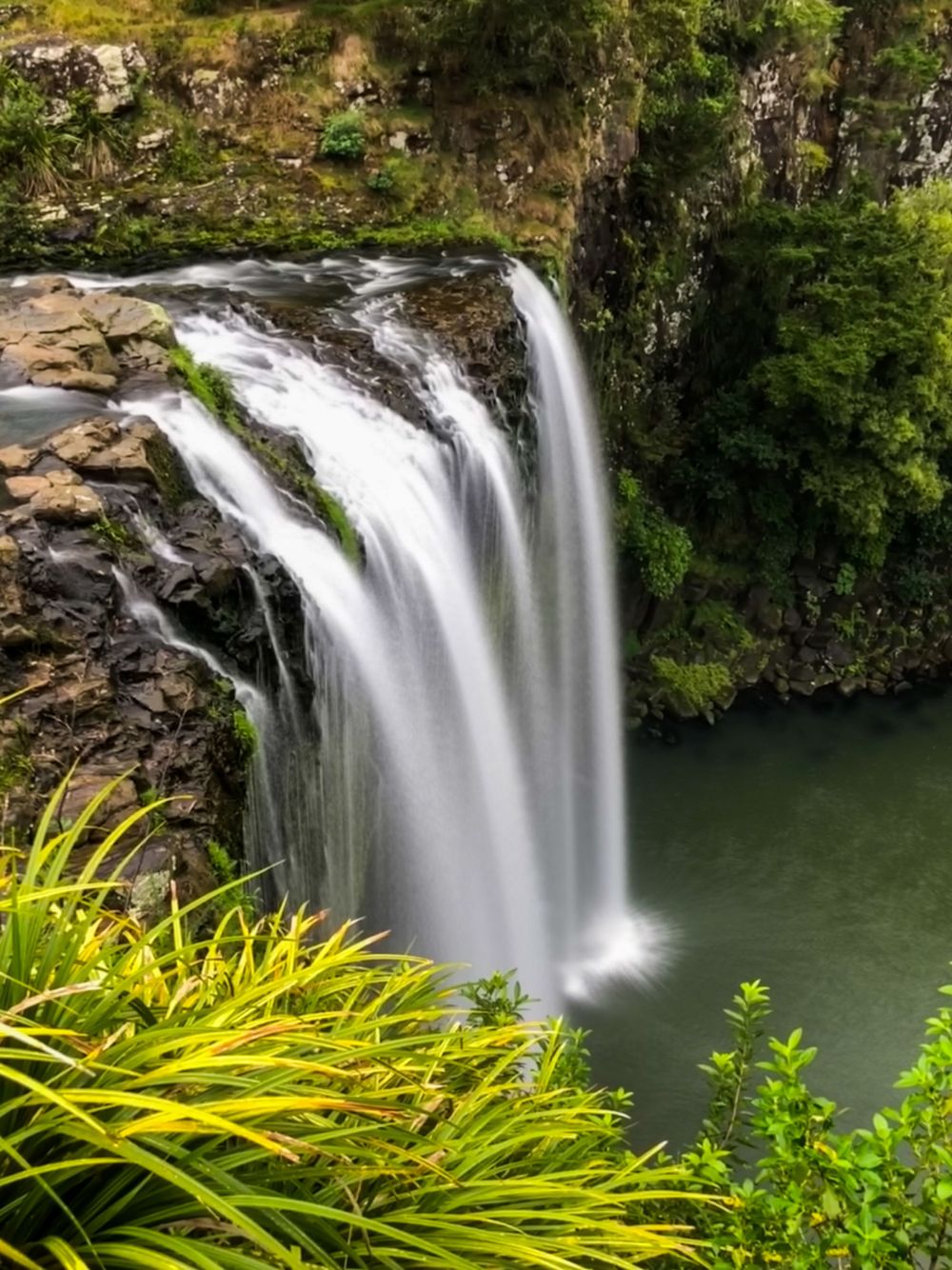 Majestic waterfall cascades into a green pool surrounded by lush tropical vegetation and yellow plants.