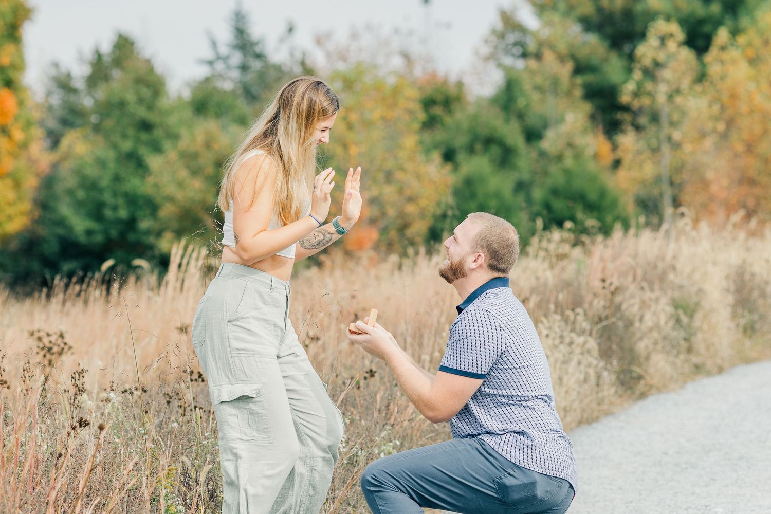 northern virginia surprise proposal glenstone museum