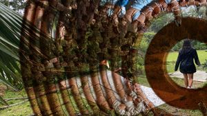Spiral sculpture made of natural materials creates a tunnel effect in an outdoor garden setting.