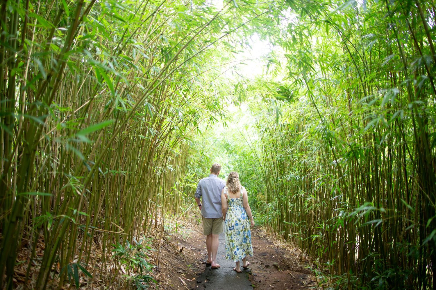 A couple walks hand in hand through a tranquil bamboo forest path.