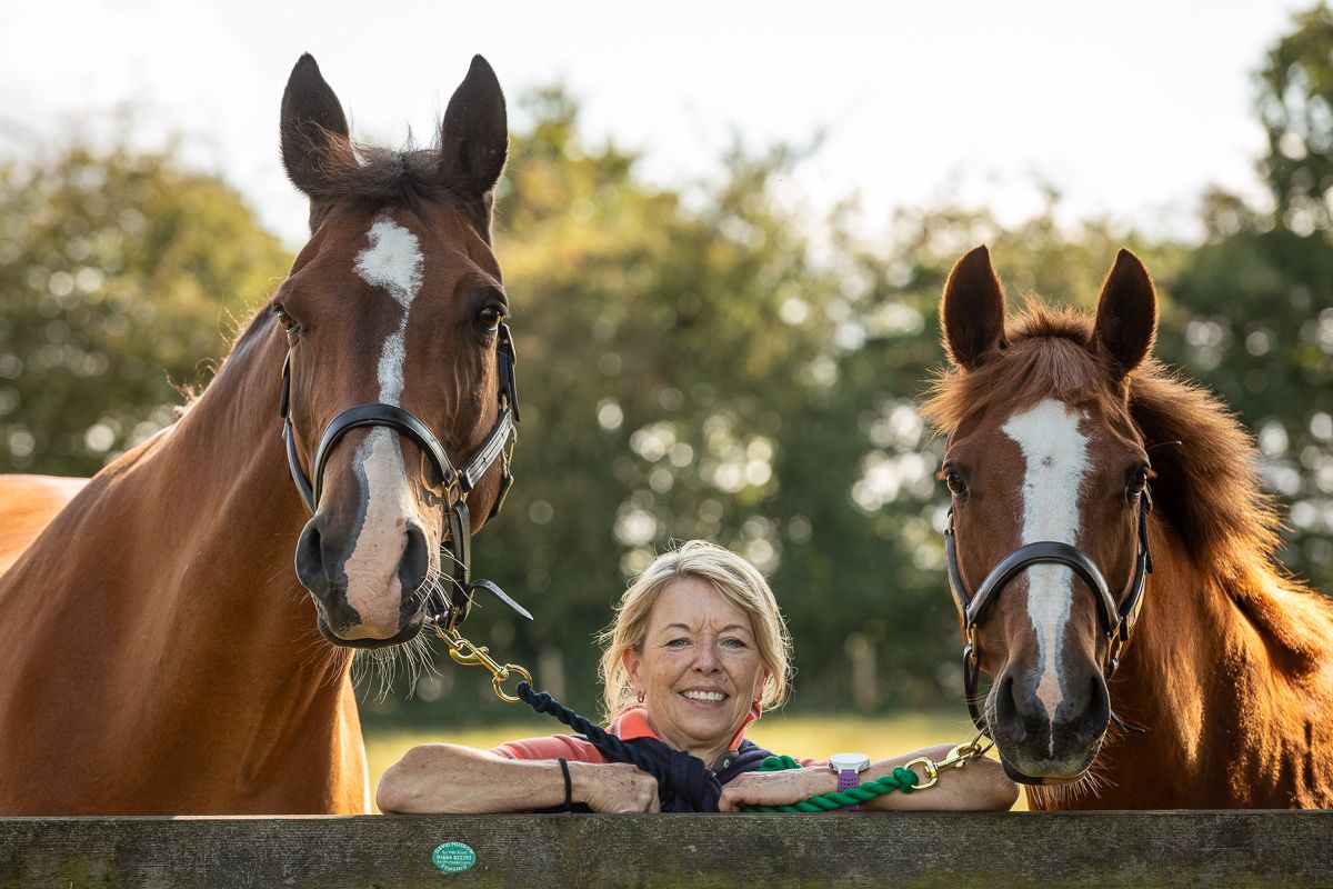 Two beautiful brown horses peek over a wooden fence in a sunny pasture.