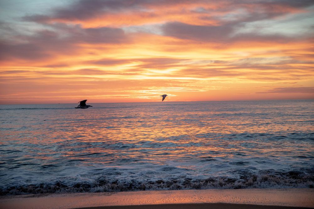 Dramatic orange and pink sunset over ocean horizon with birds flying in silhouette.