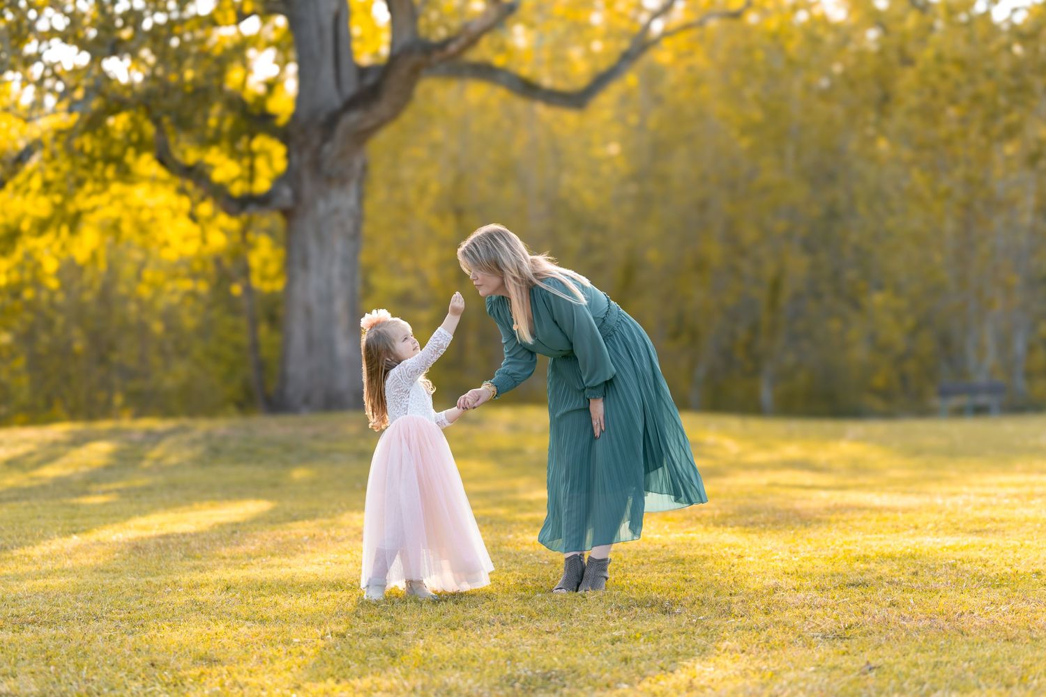 Two people interacting in a sunlit field with golden fall foliage.