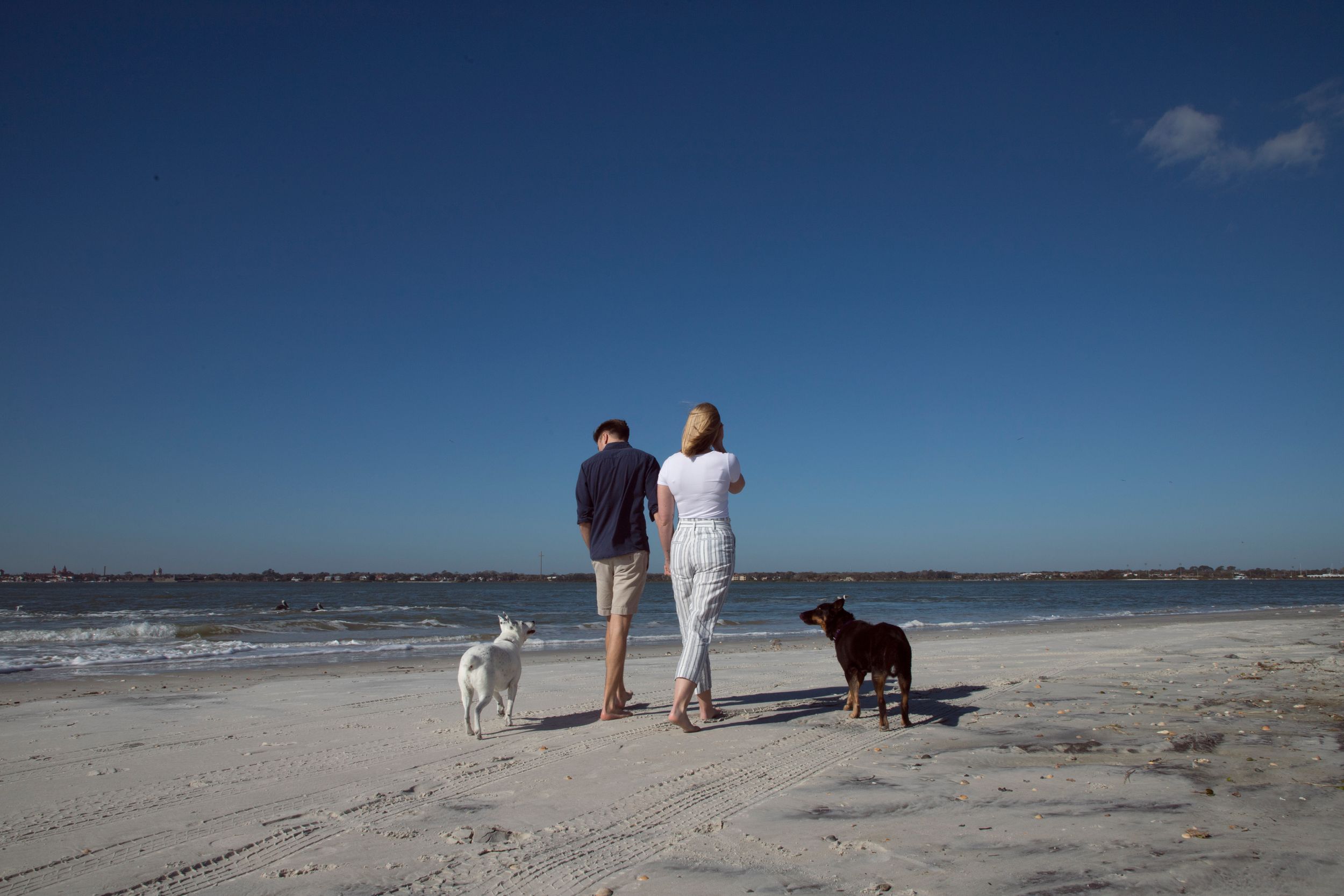 Couple walking their dog on the beach