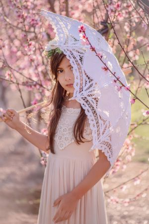 Girl child standing in front of flowering cherry blossom trees peeking out from behind the lace parasol she is holding.