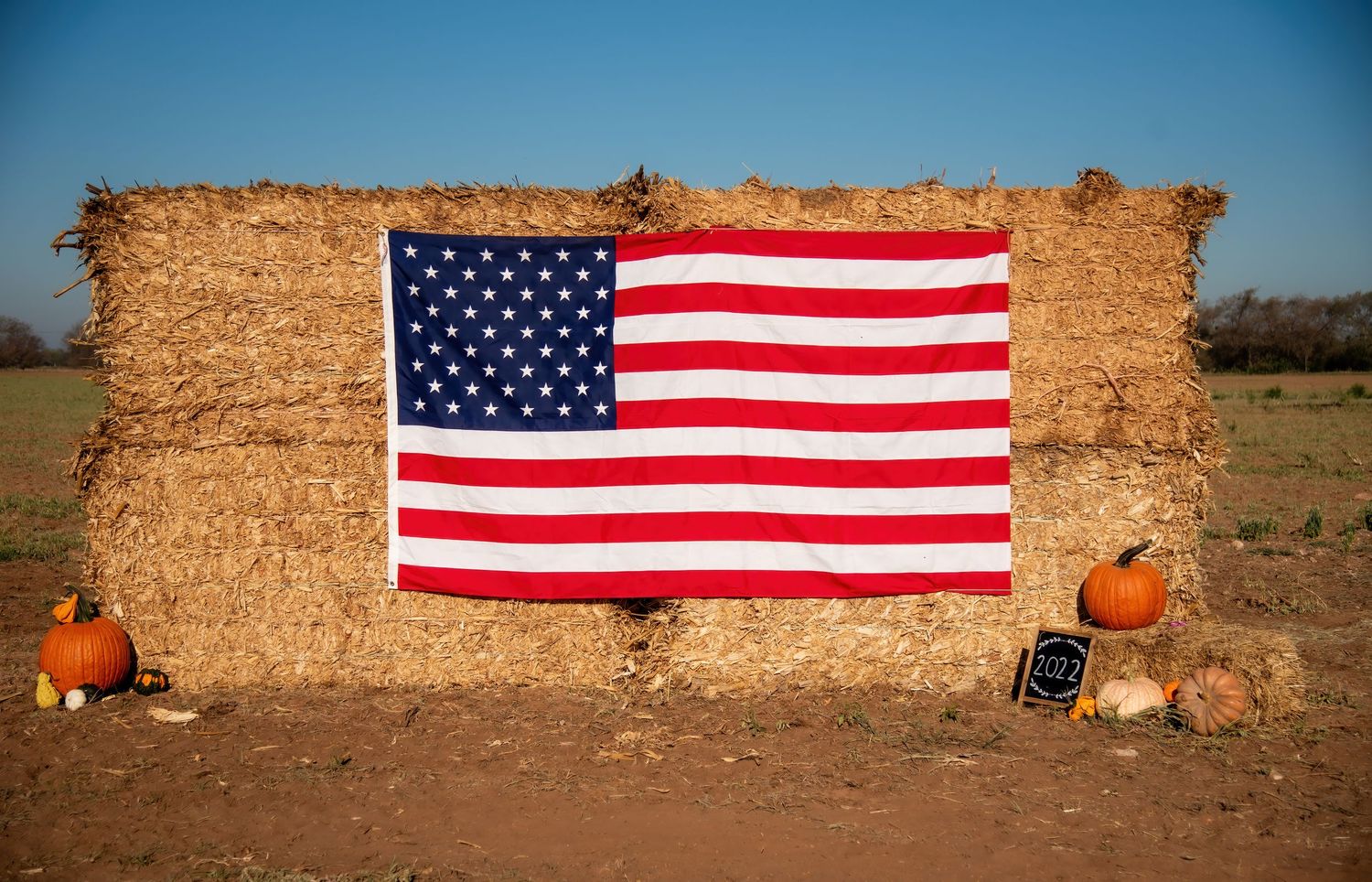Pumpkin Patch Mini Sessions in Waco, Texas with Natalia Burrows Photography