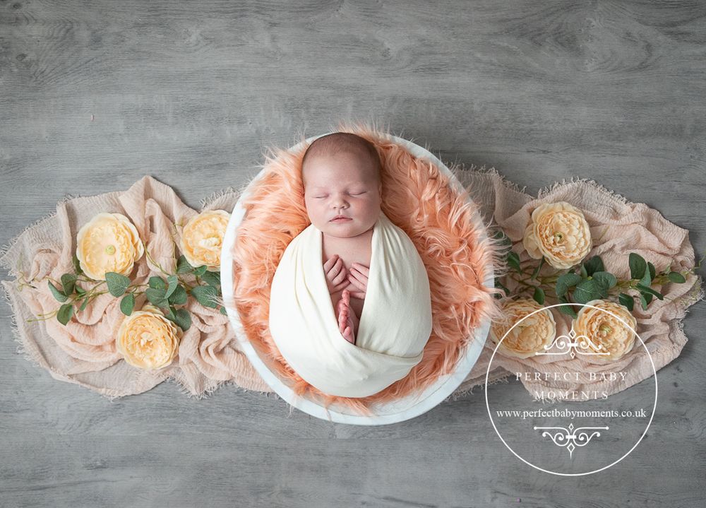 Mansfield newborn baby photographer