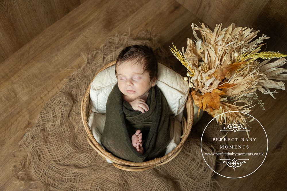 3 week old newborn baby posed in a basket