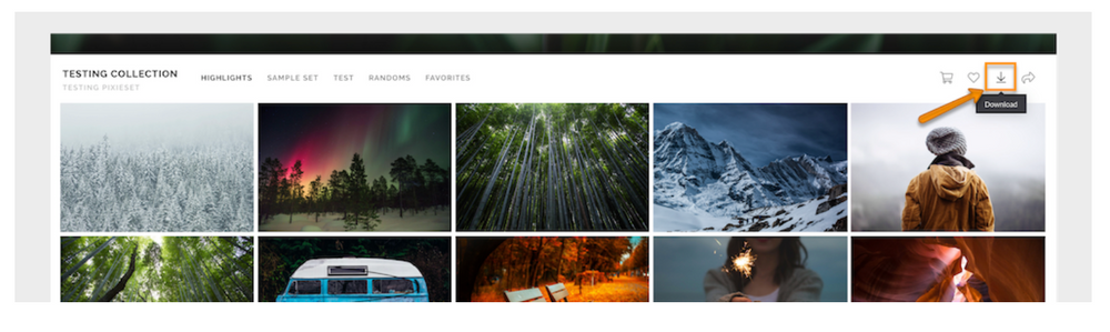How to download images on Pixieset
