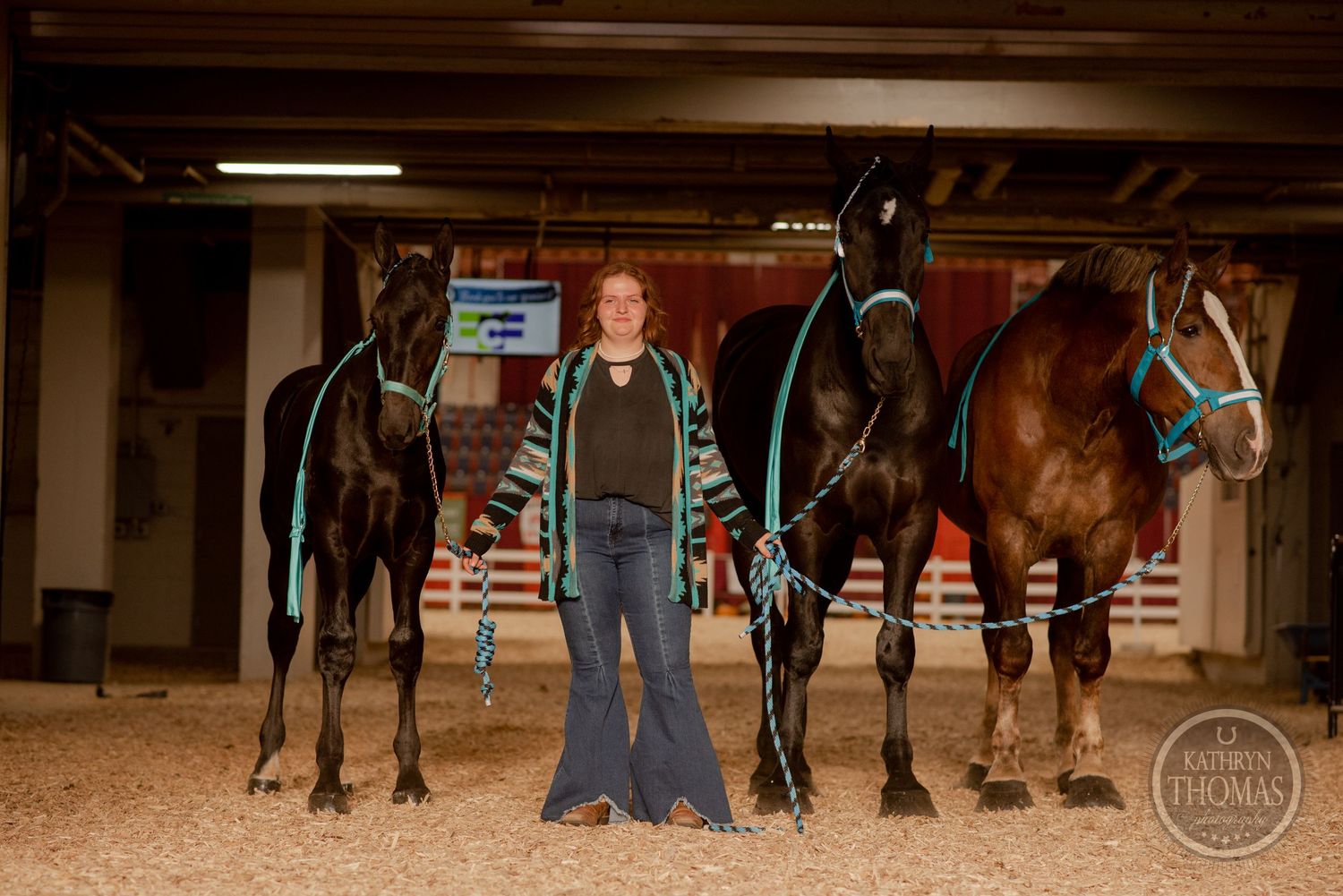 Four well-groomed horses with teal halters lined up in indoor arena.