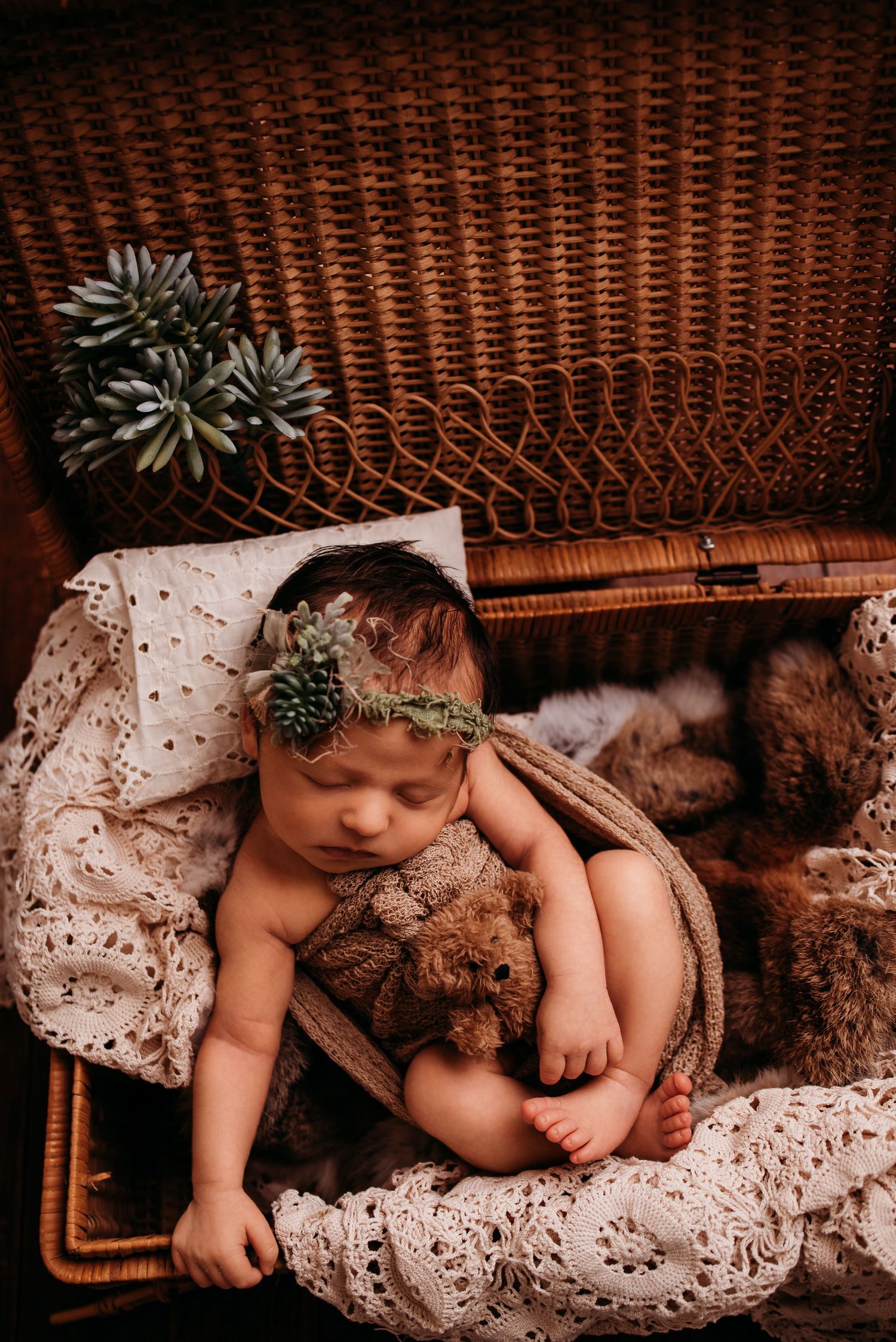 Newborn