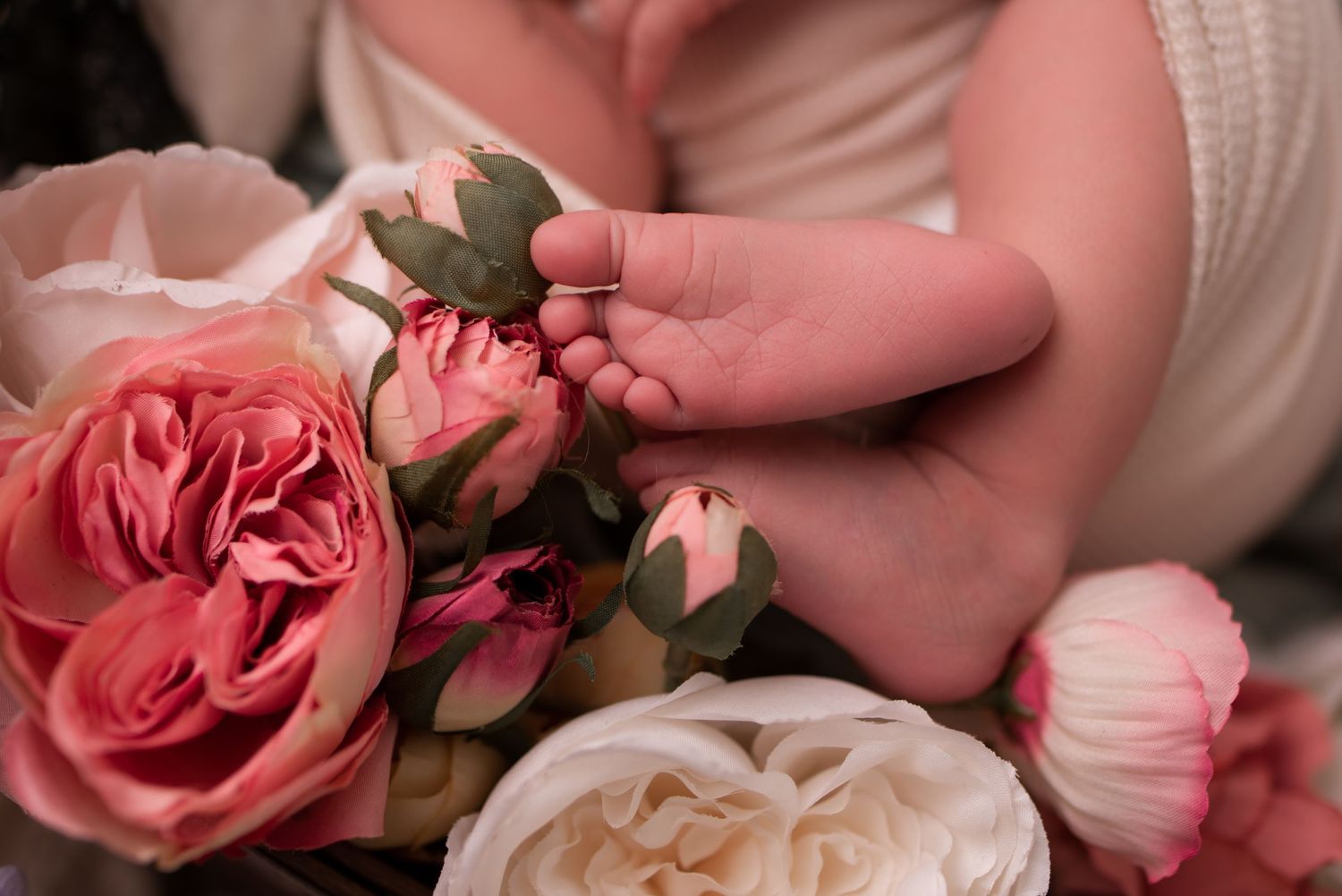 Newborn